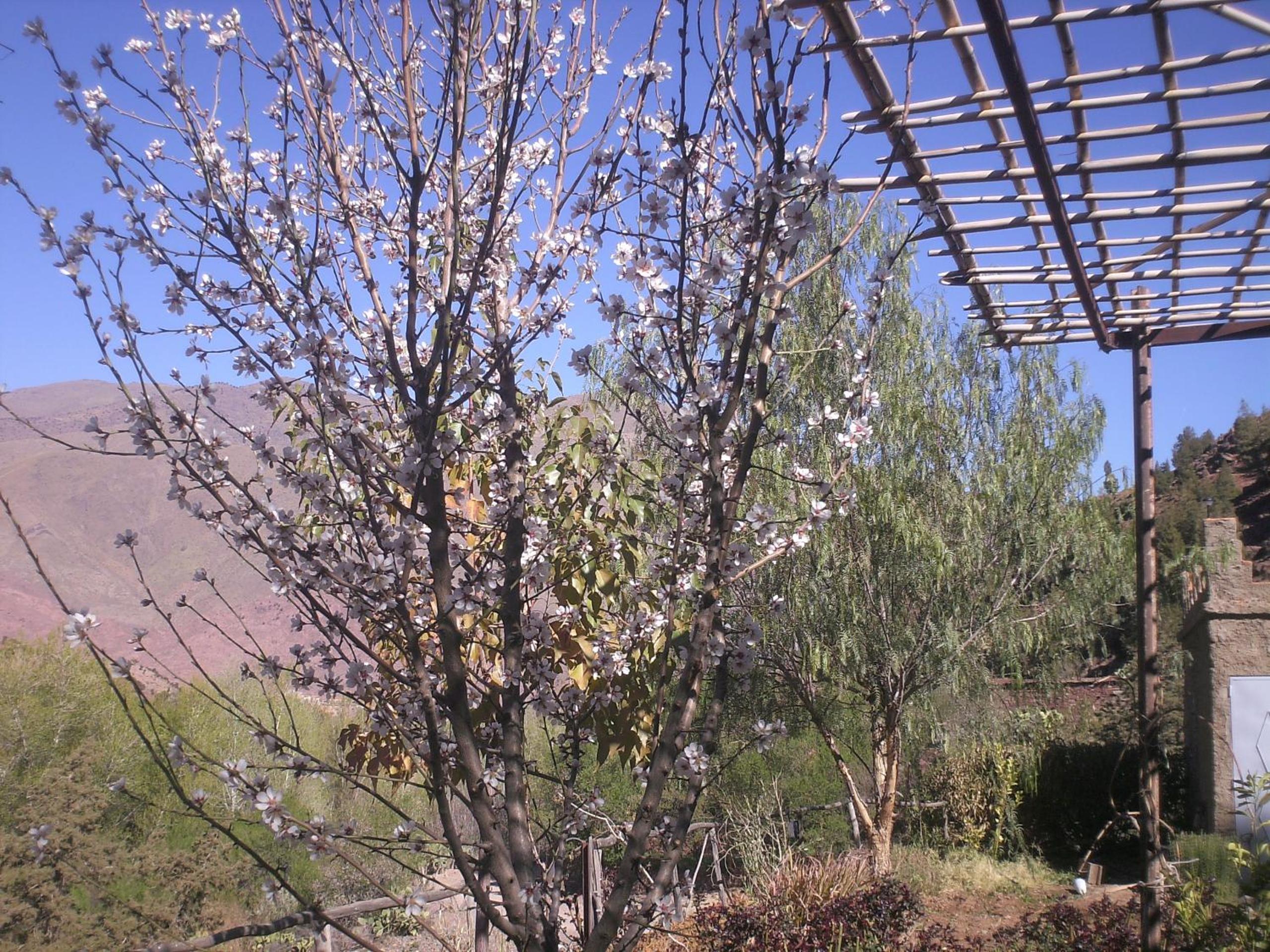 Auberge Tigmmi N'Tamazirte