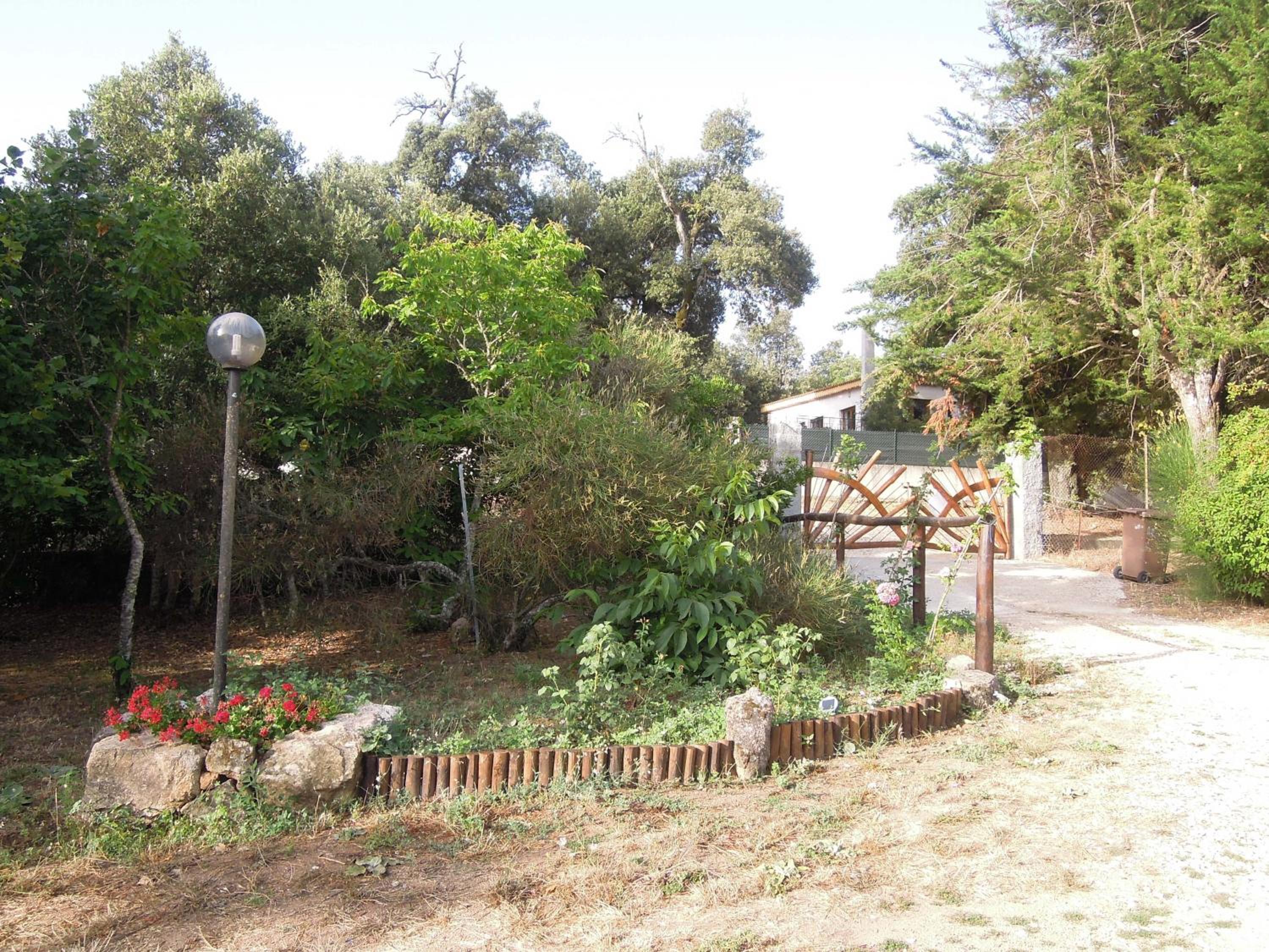 Photo 41