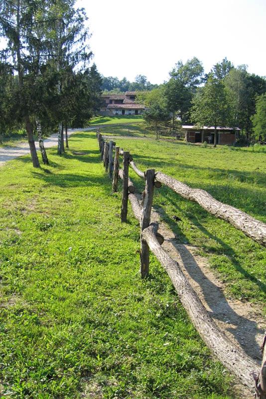 Tenuta Valdomini