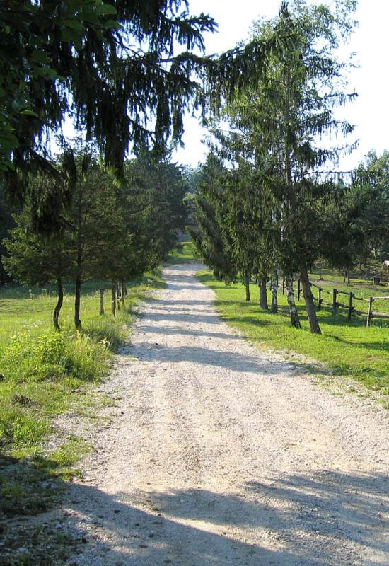 Tenuta Valdomini