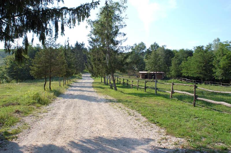 Tenuta Valdomini