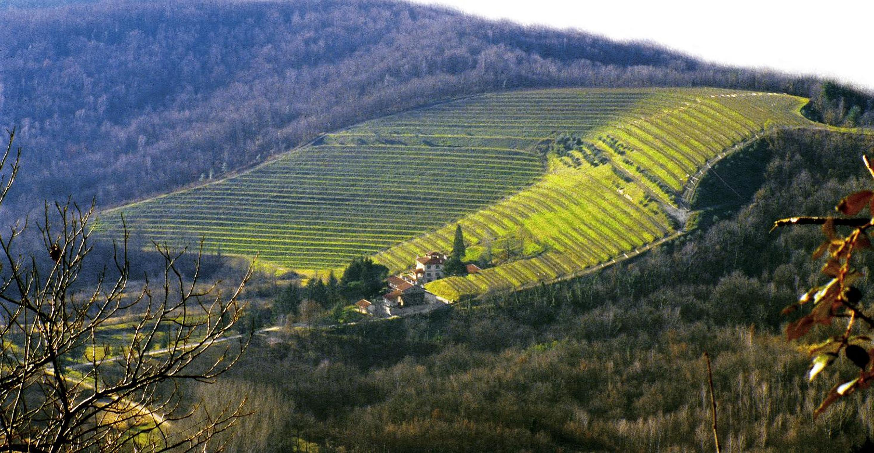 Tenuta Valdomini
