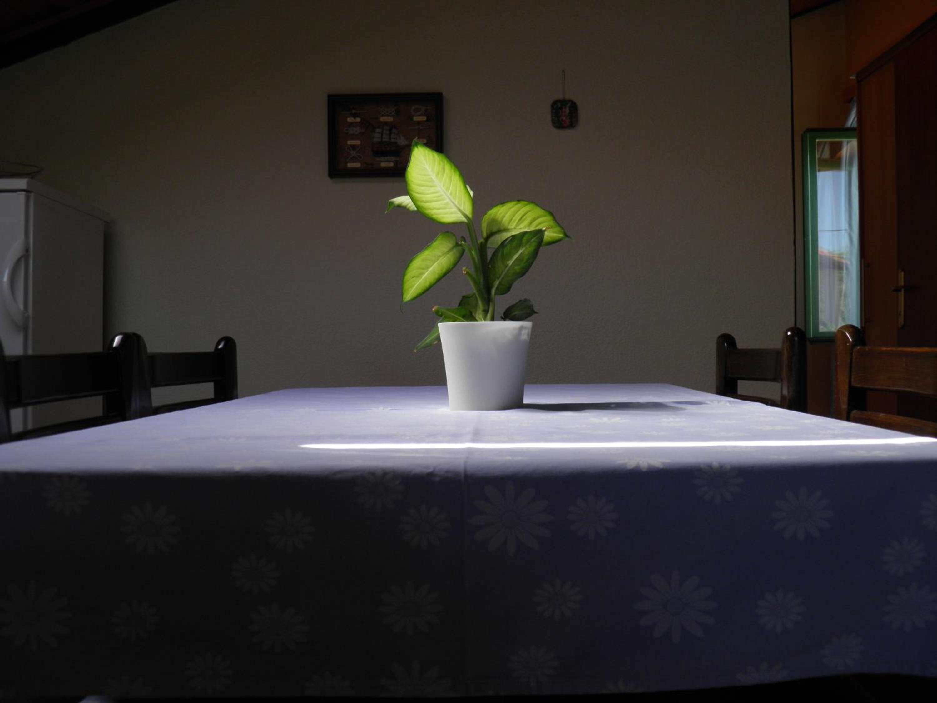 Apartman Mia Biograd