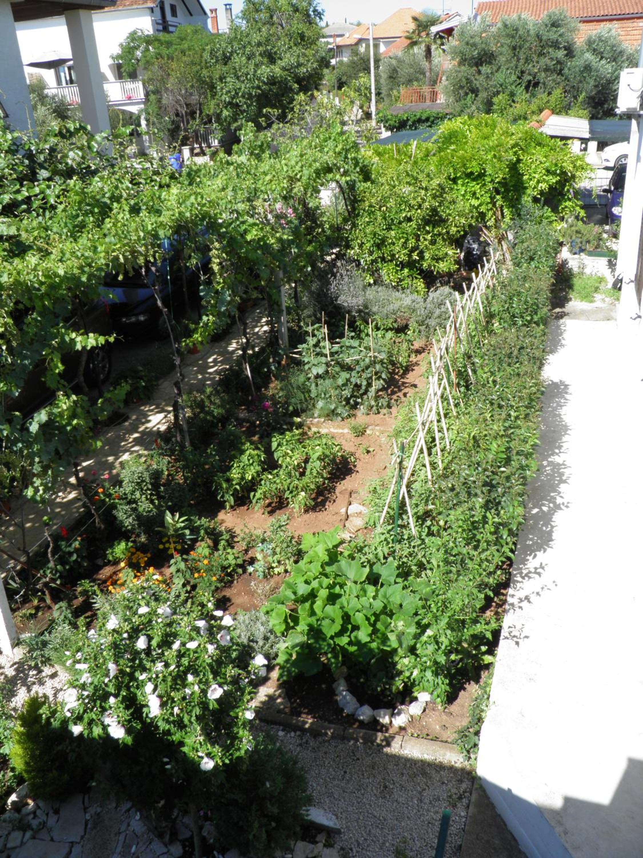 Apartman Mia Biograd