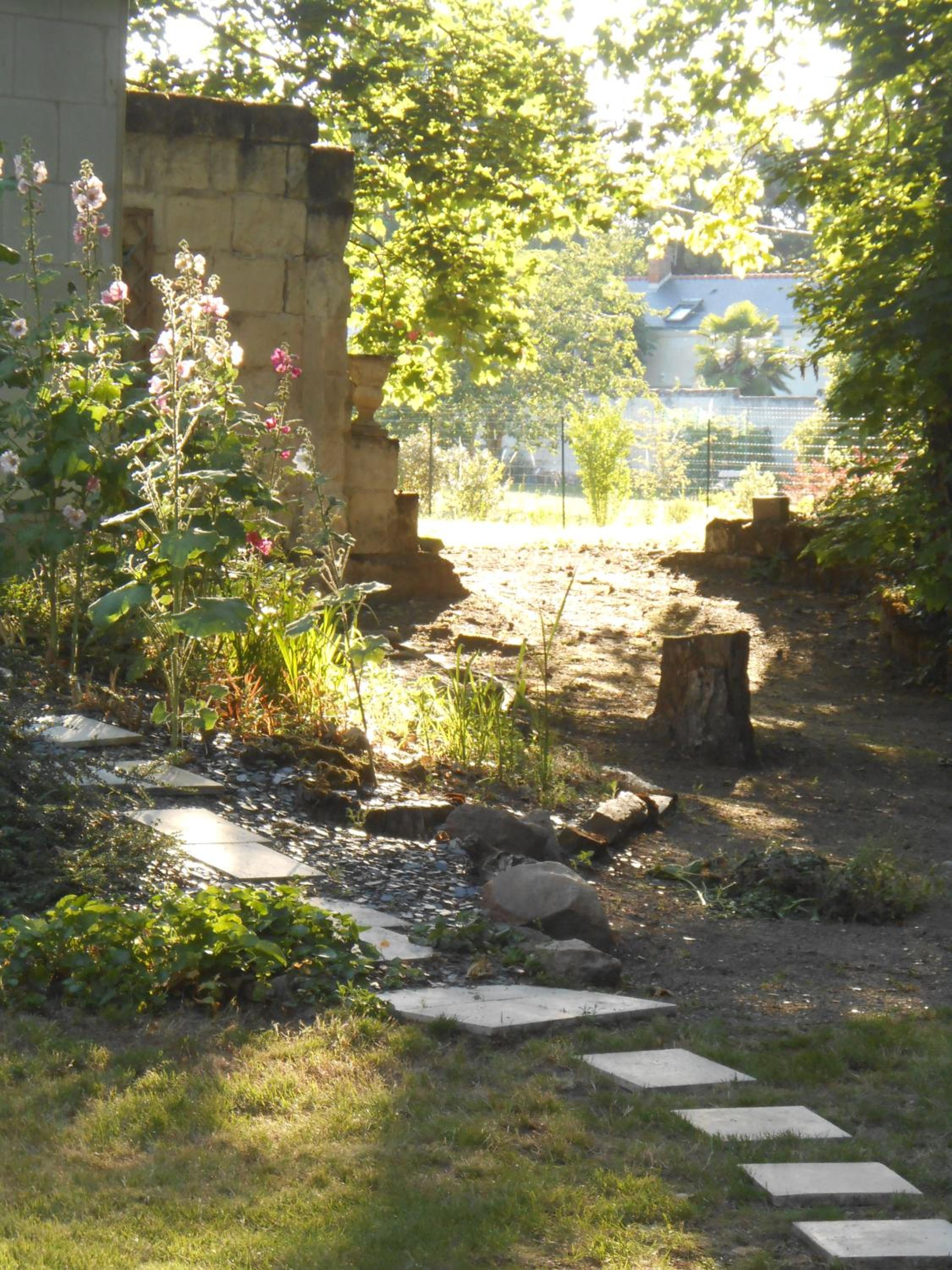 Photo 31