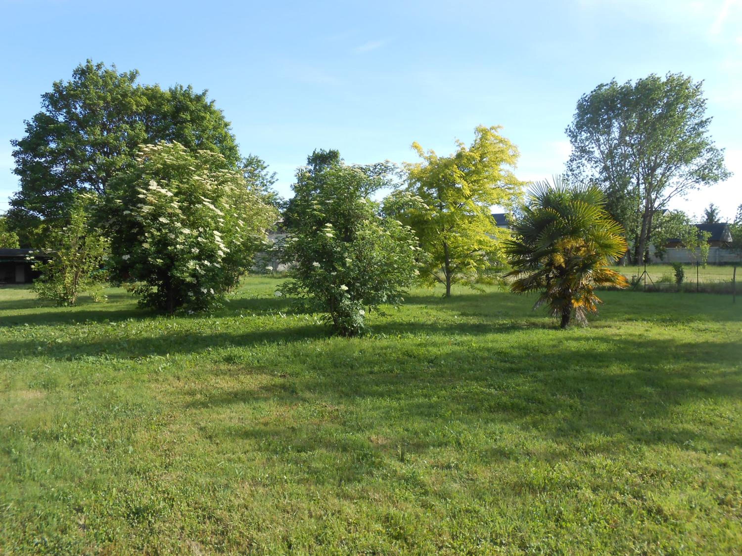 Photo 29