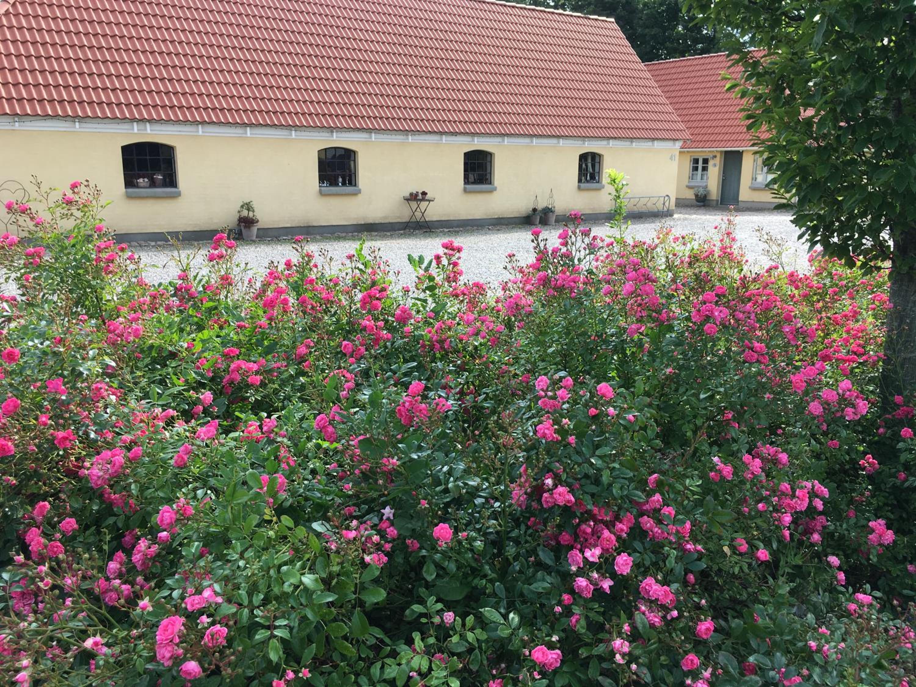 Birkende Bed and Breakfast