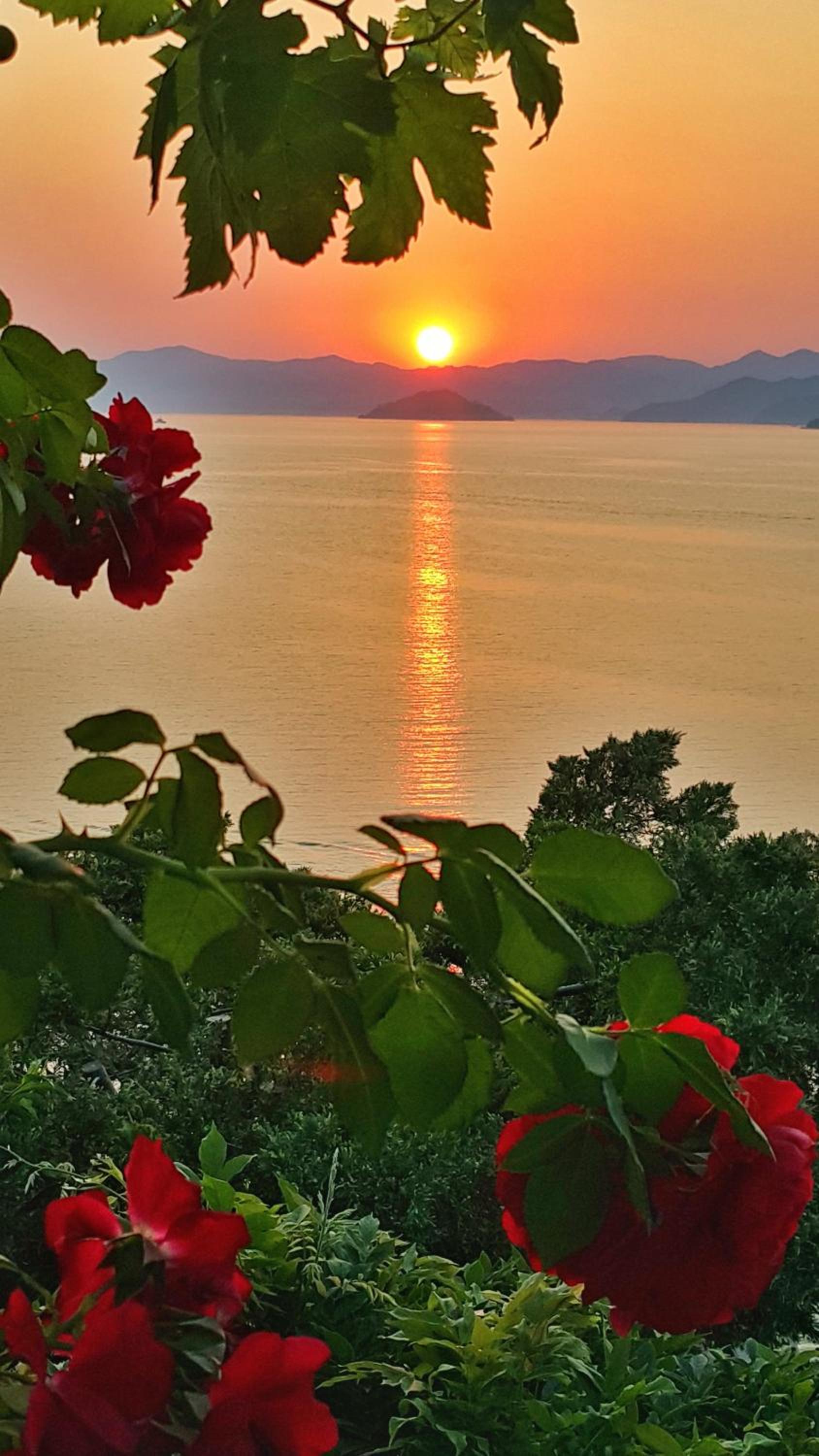 Ece Otel Sovalye Adası - Image 203