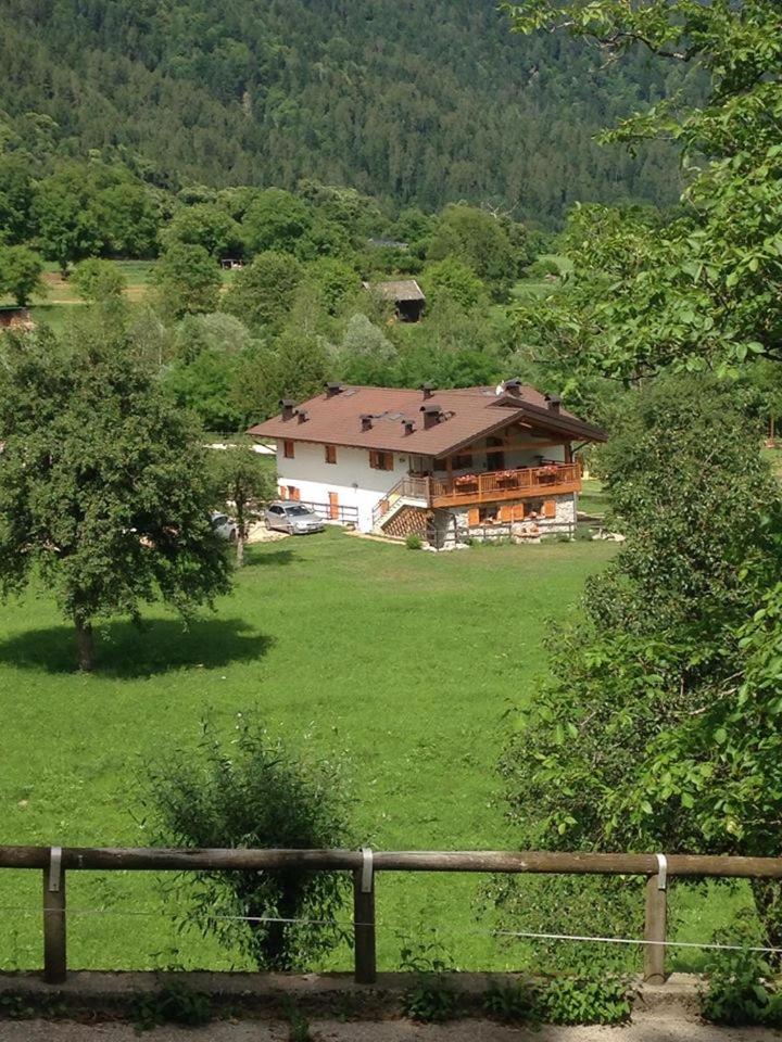 Photo 38