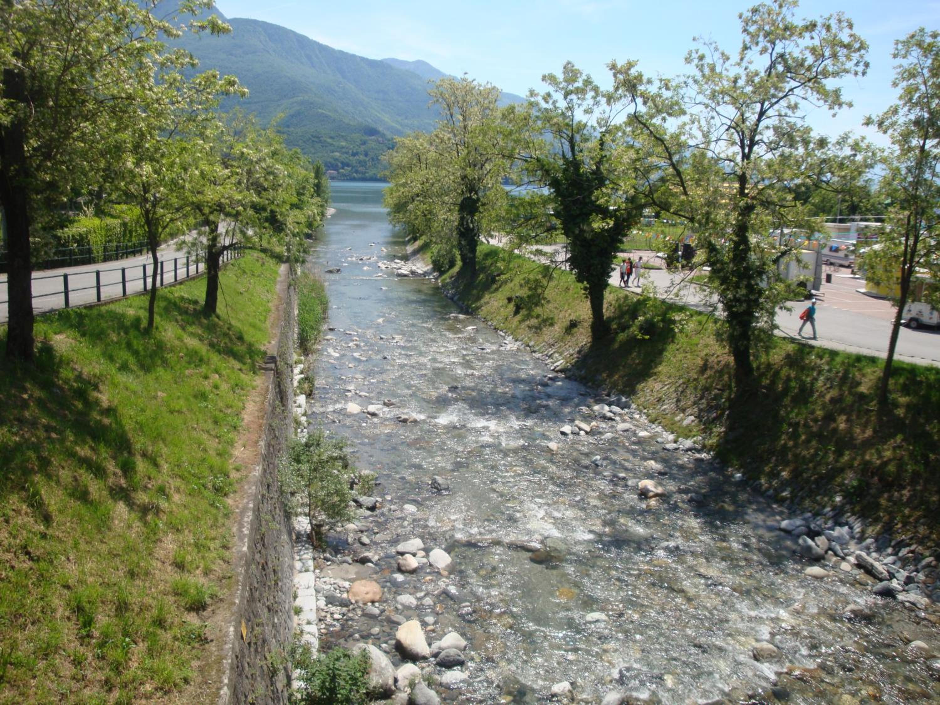 Photo 42
