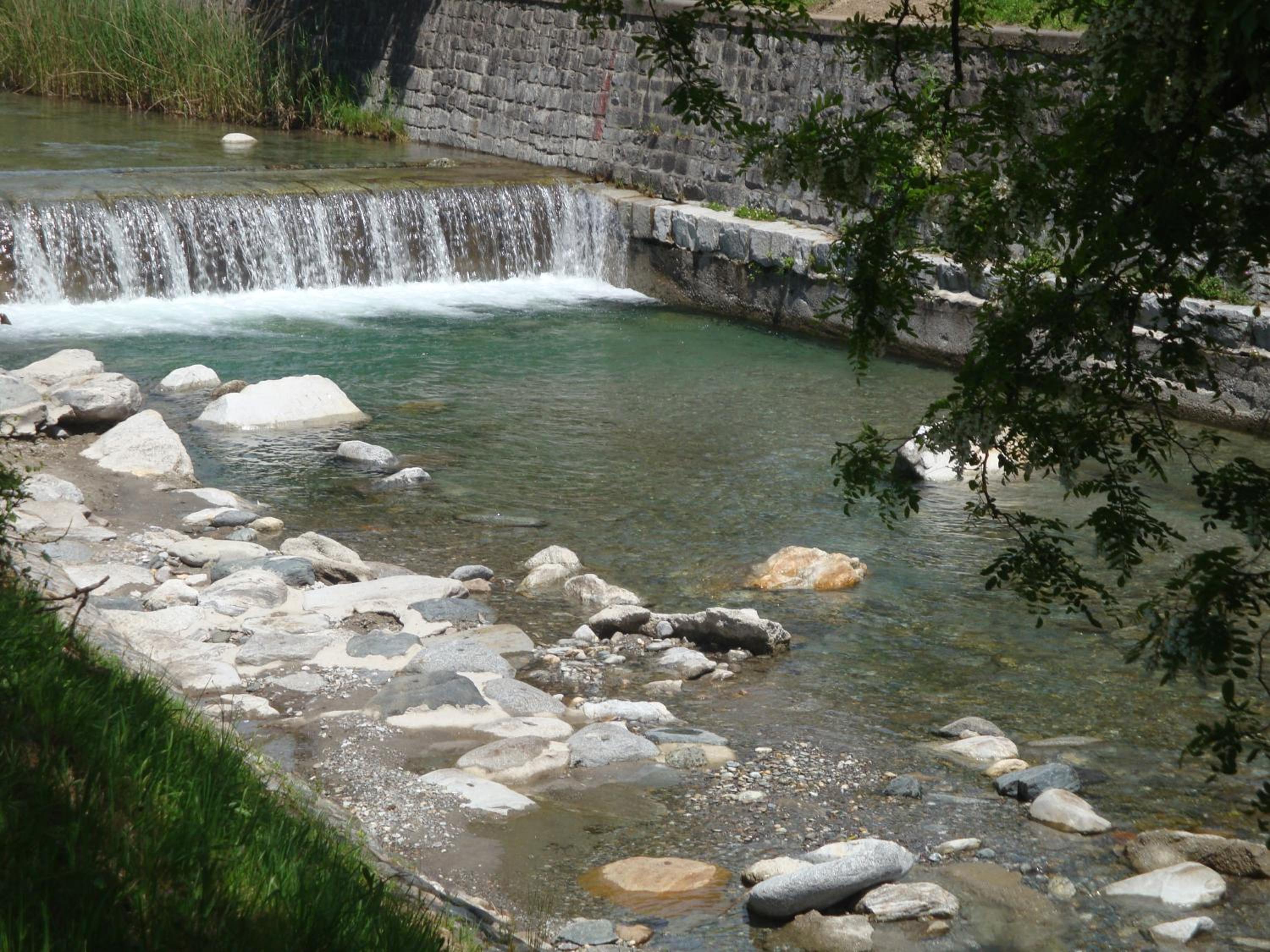Photo 41