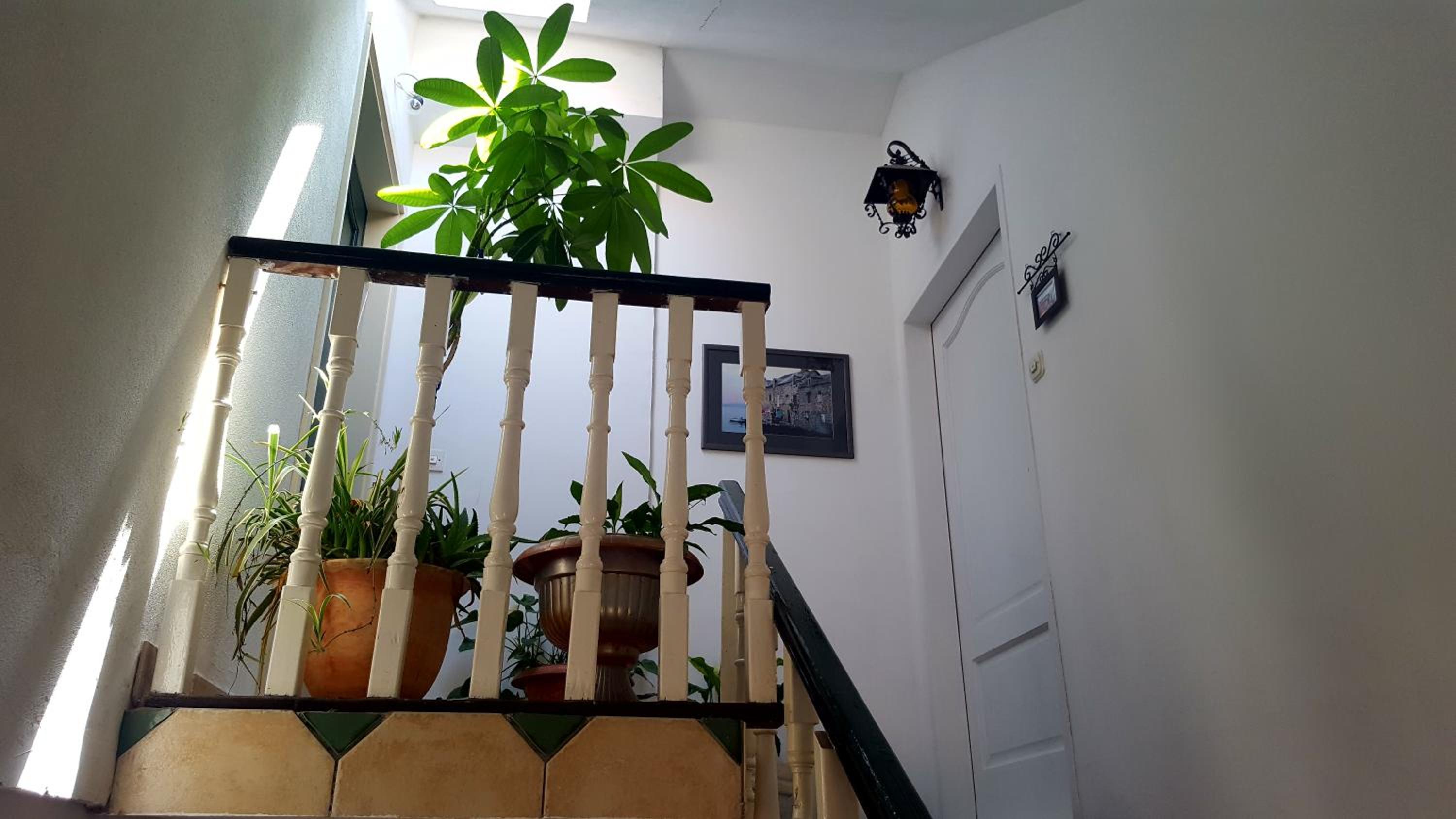 Photo 33