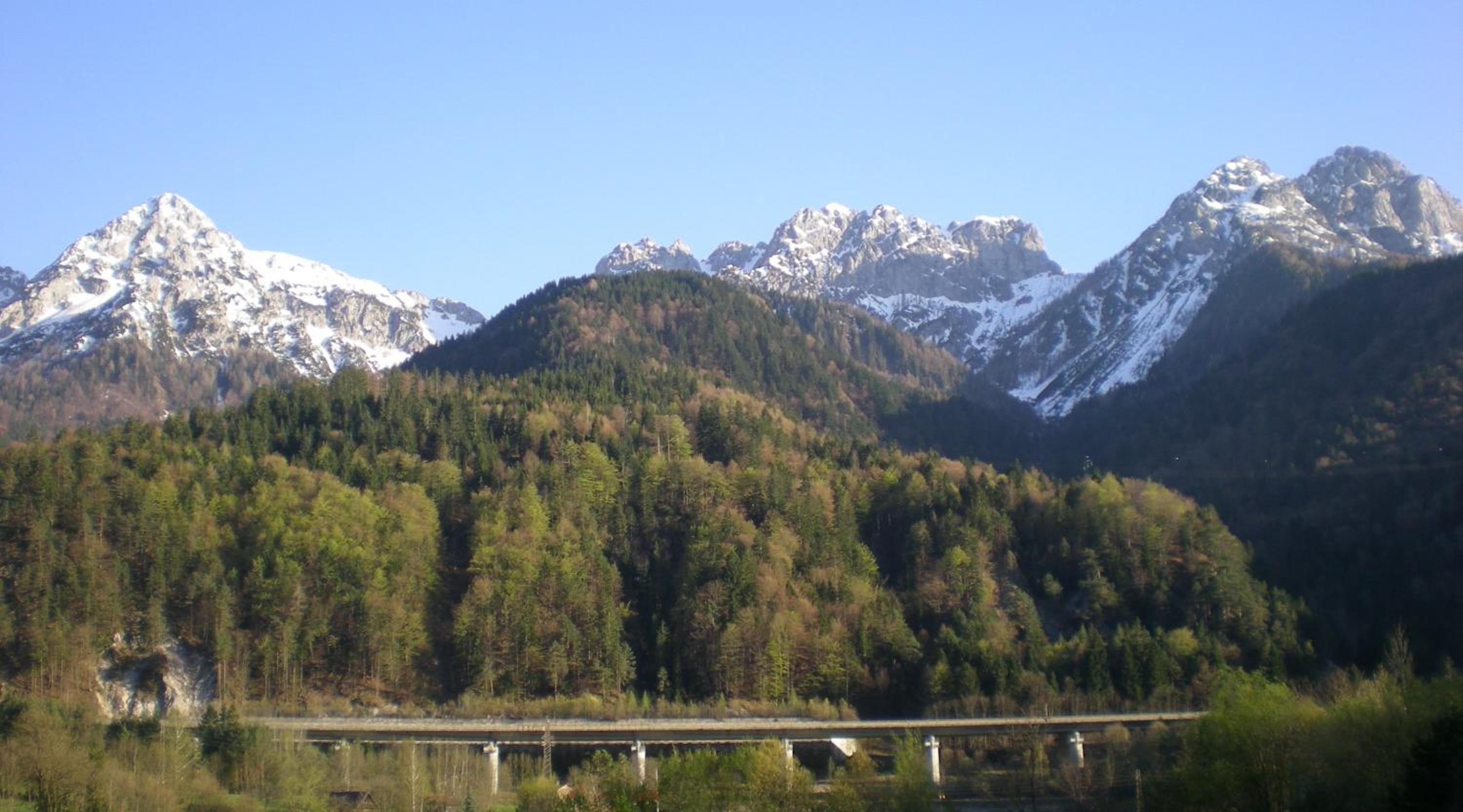Photo 29