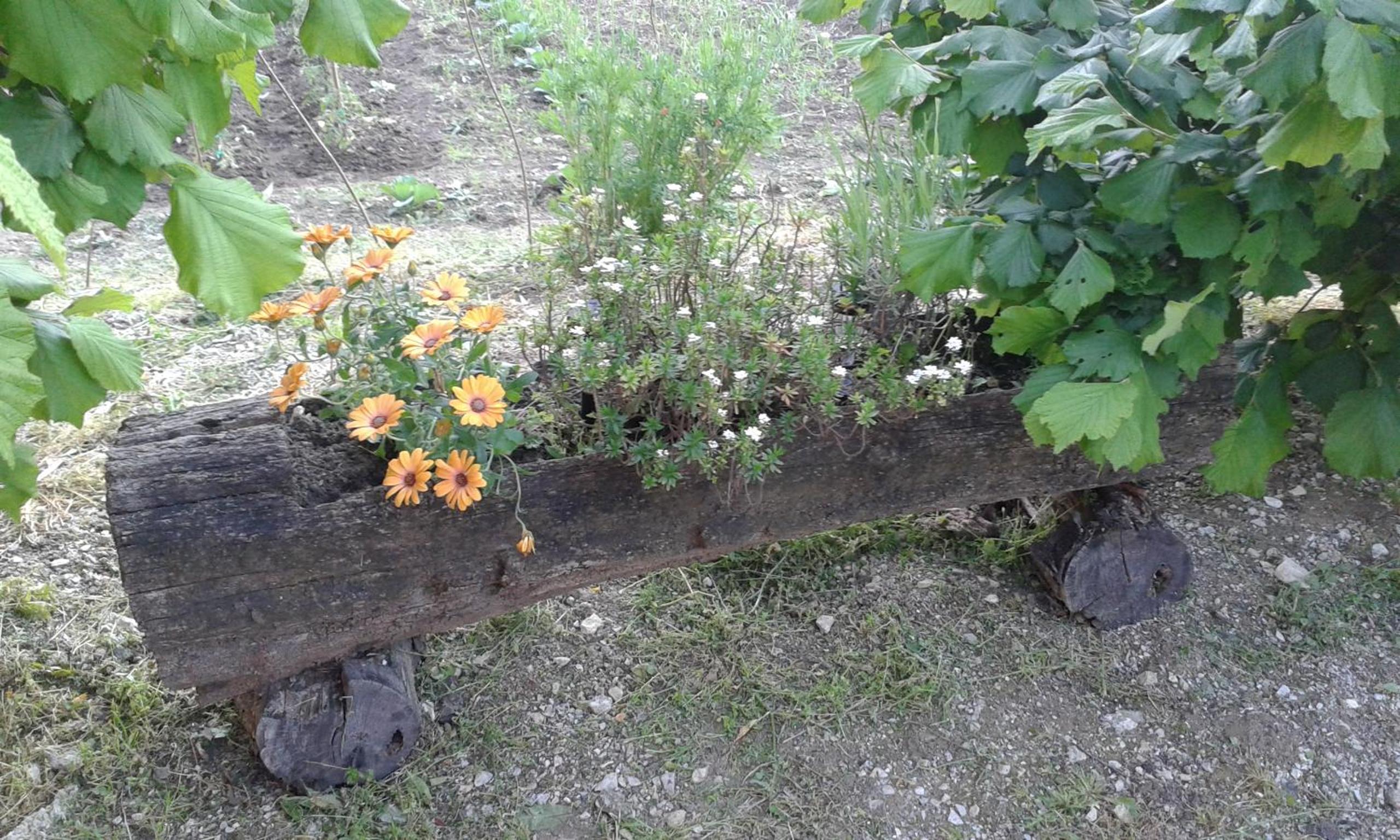 Photo 20