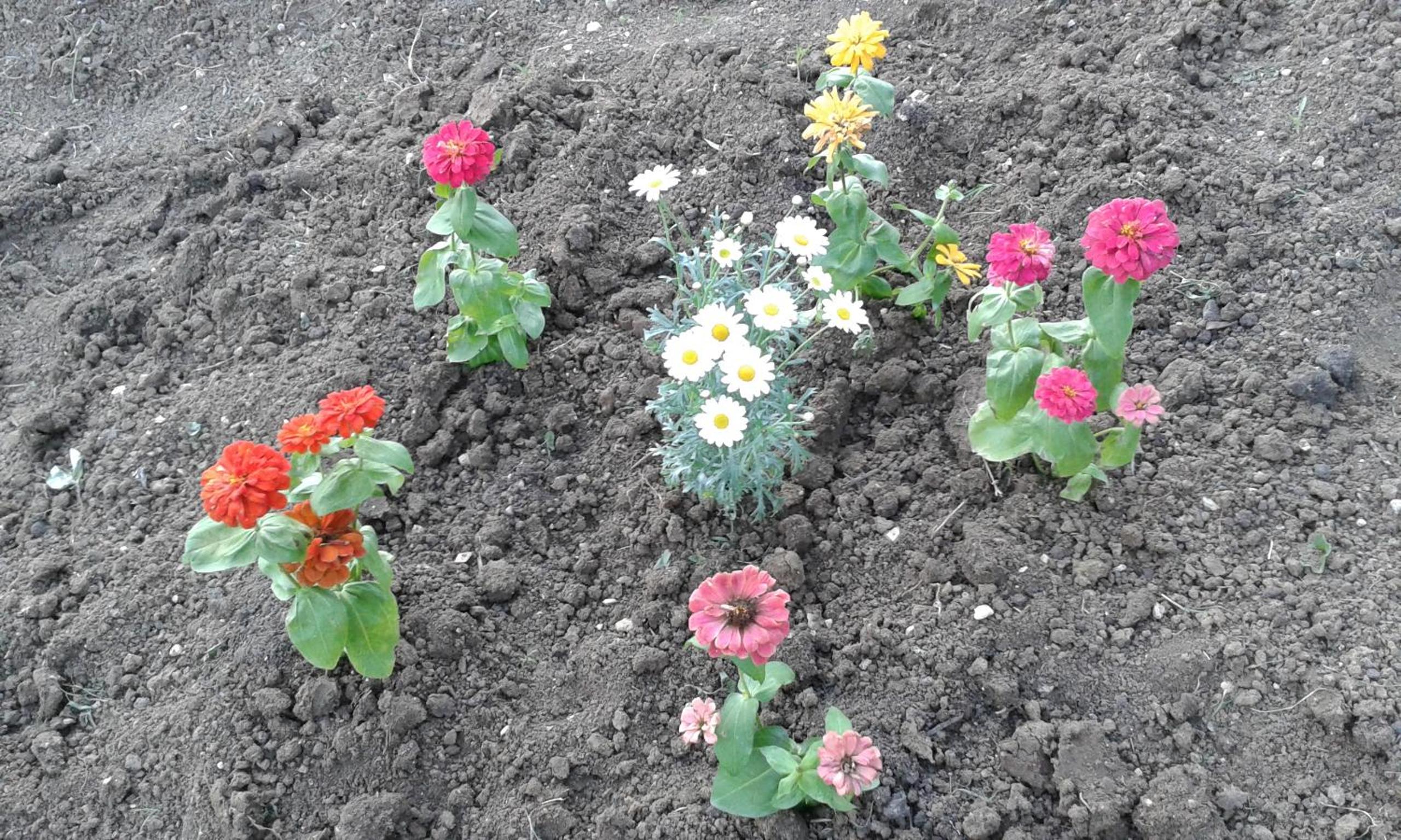 Photo 21