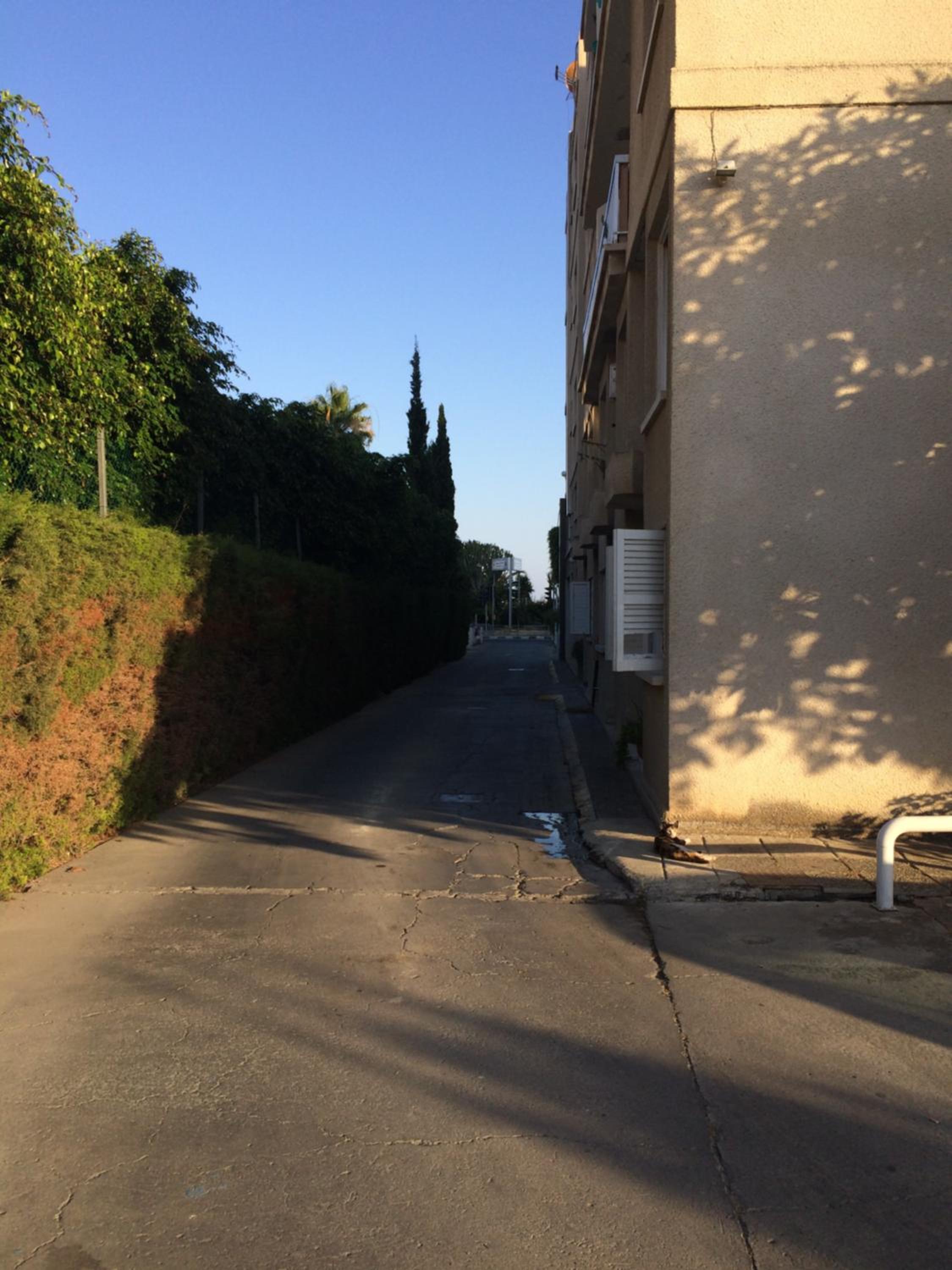 Photo 28