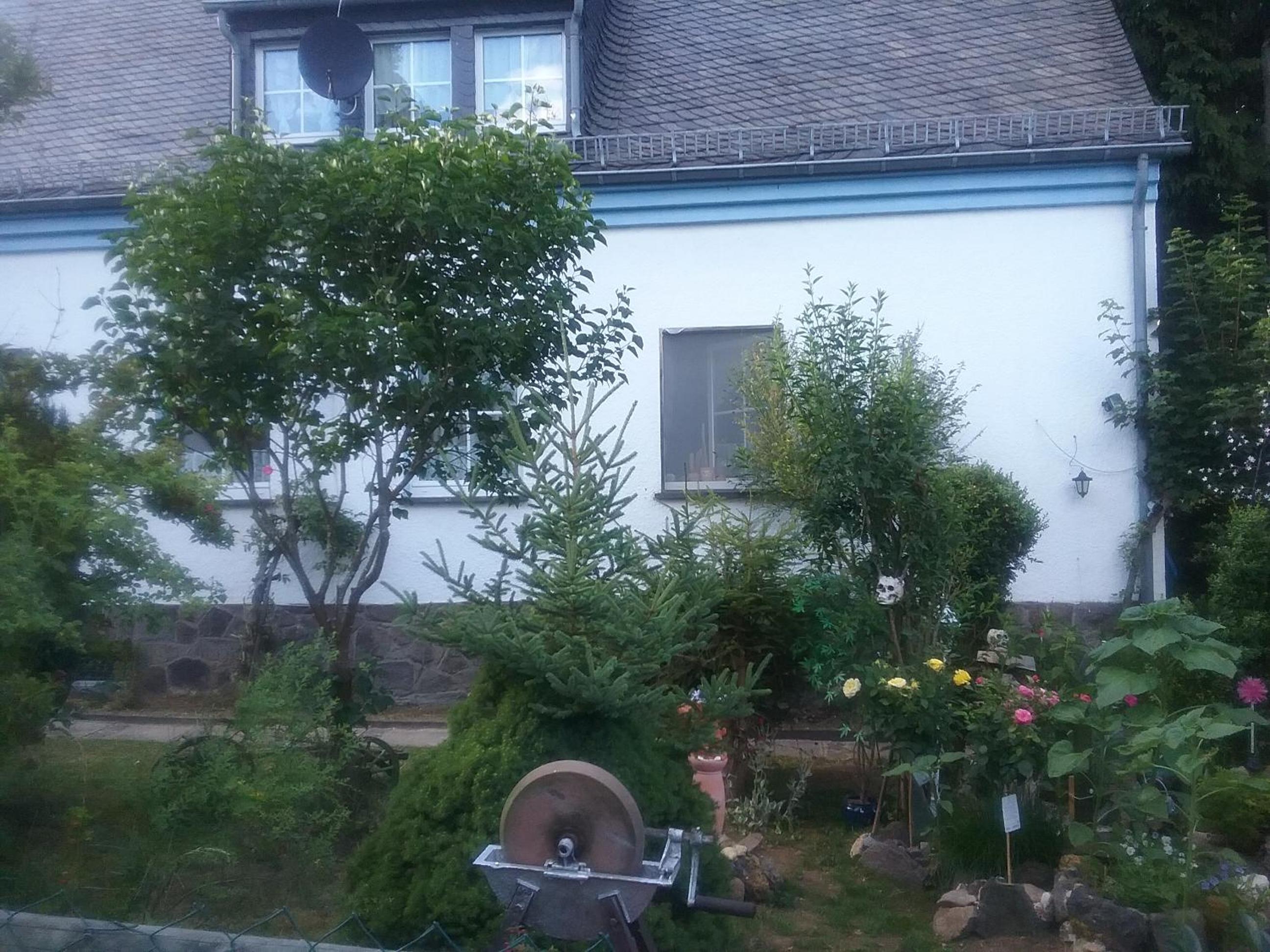 Gudrun Waegner view 4
