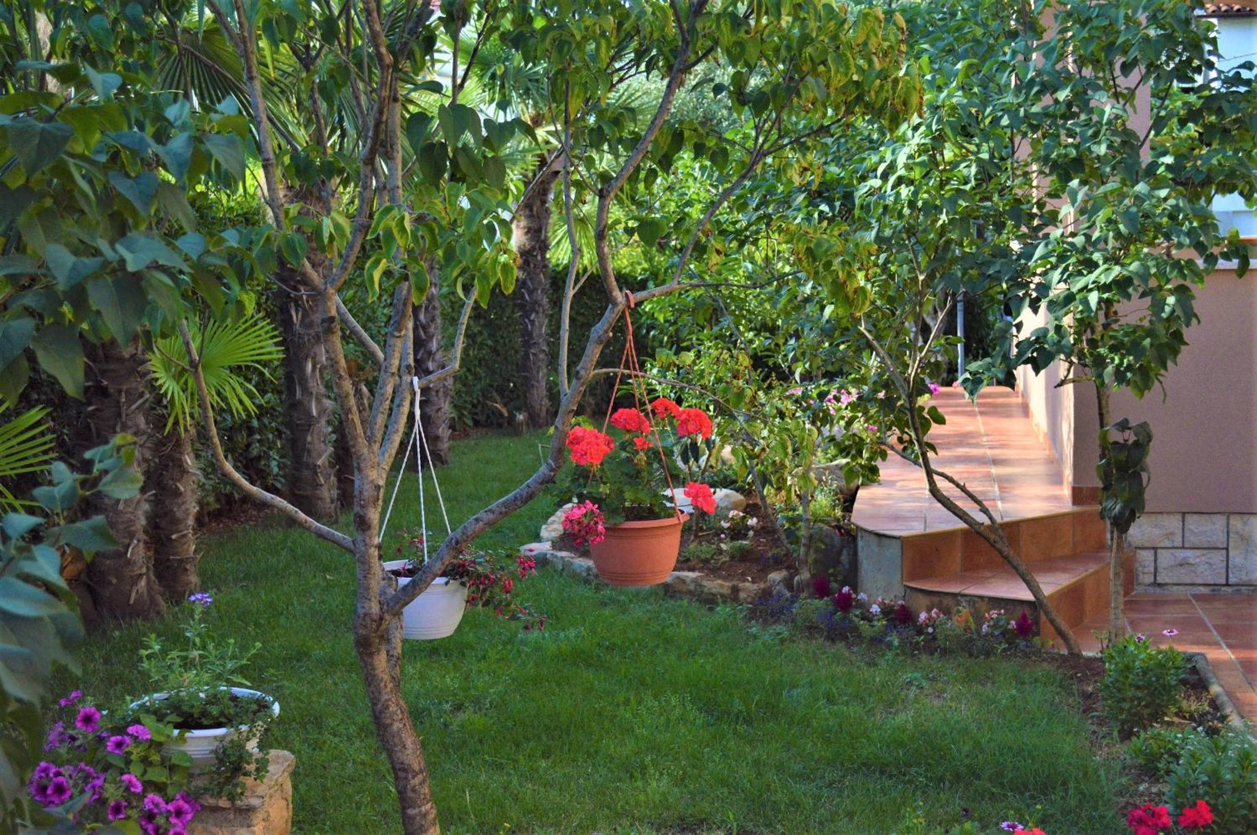 Photo 26