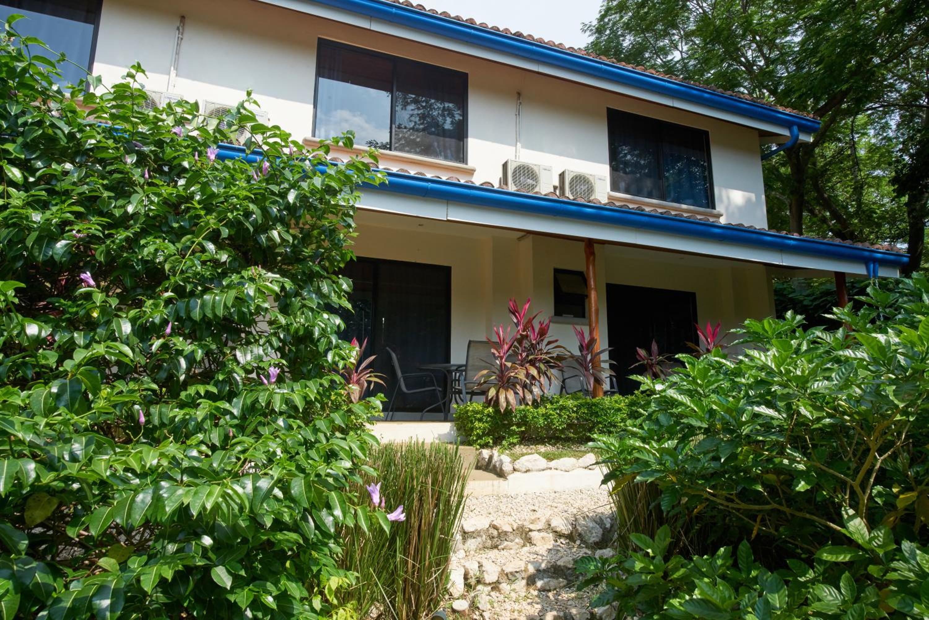 Tamarindo Blue Apartments view 4