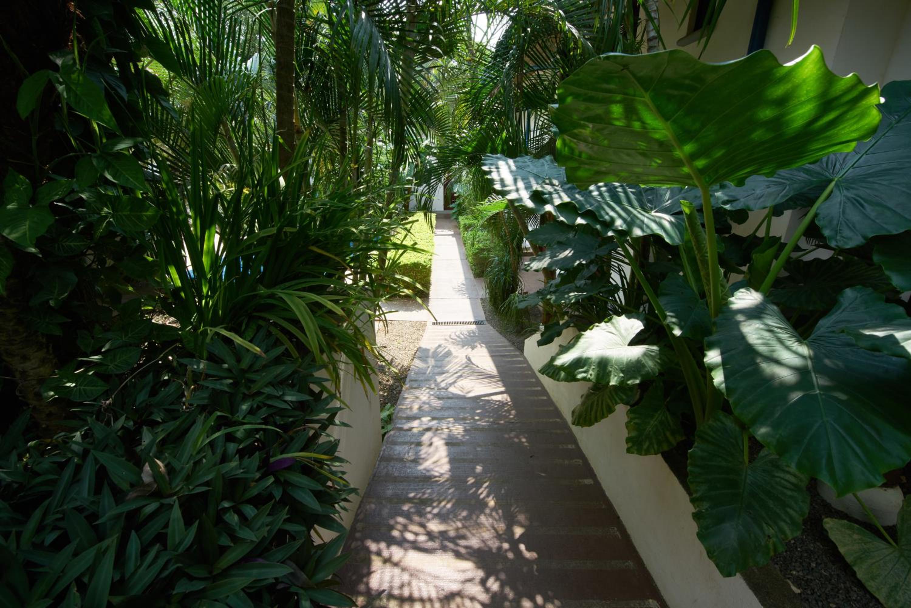 Tamarindo Blue Apartments view 5