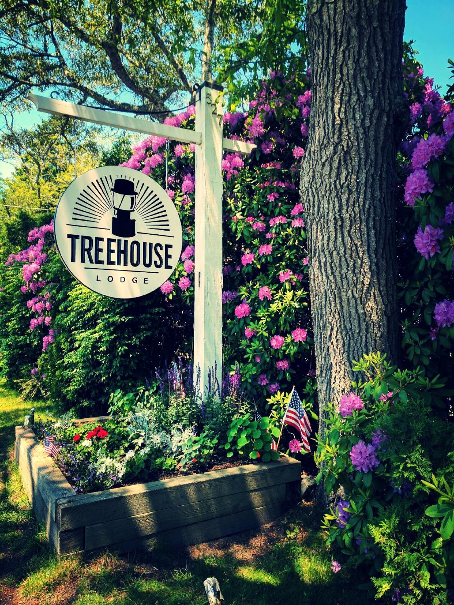 Treehouse Lodge