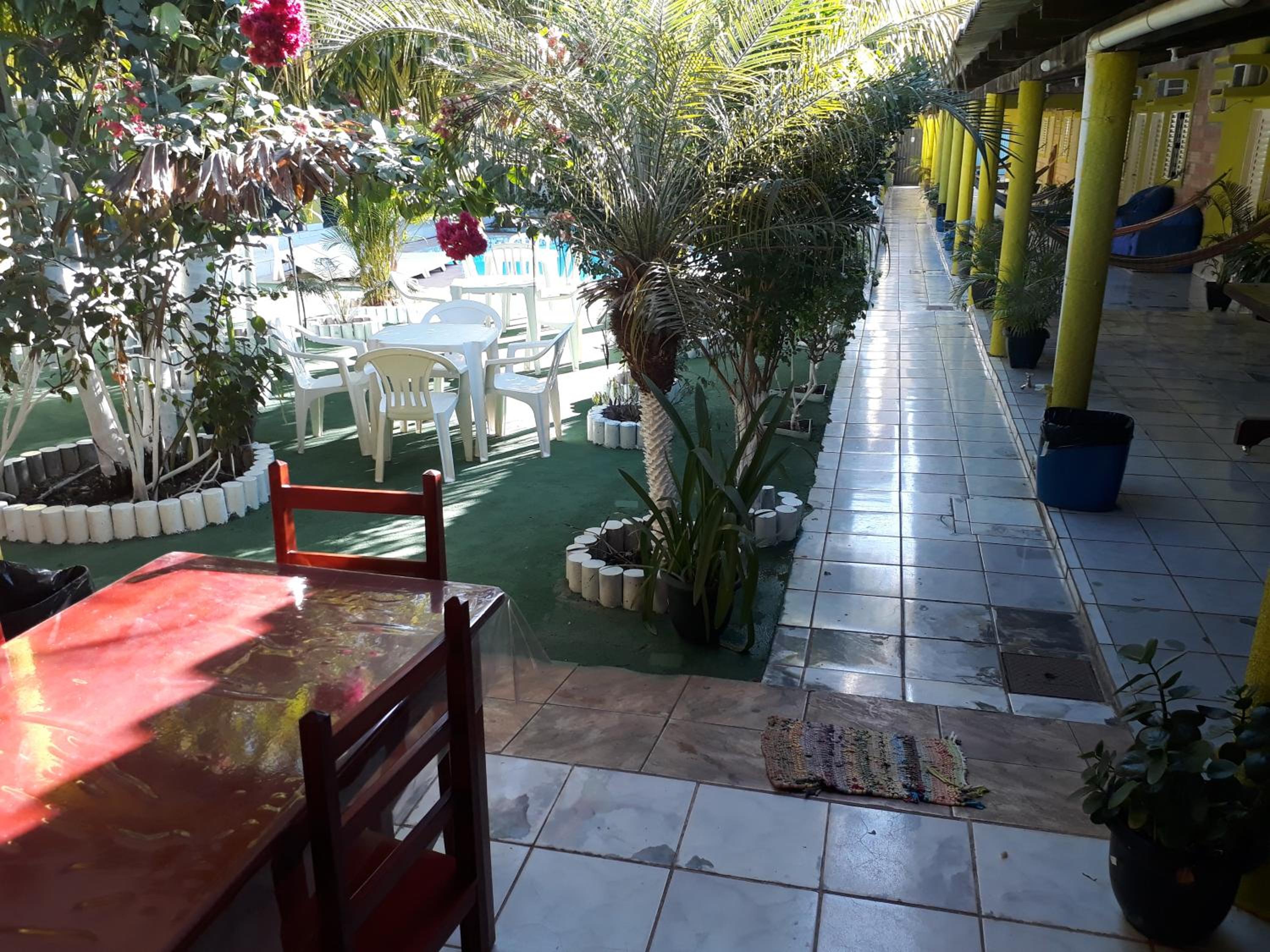 Photo 19