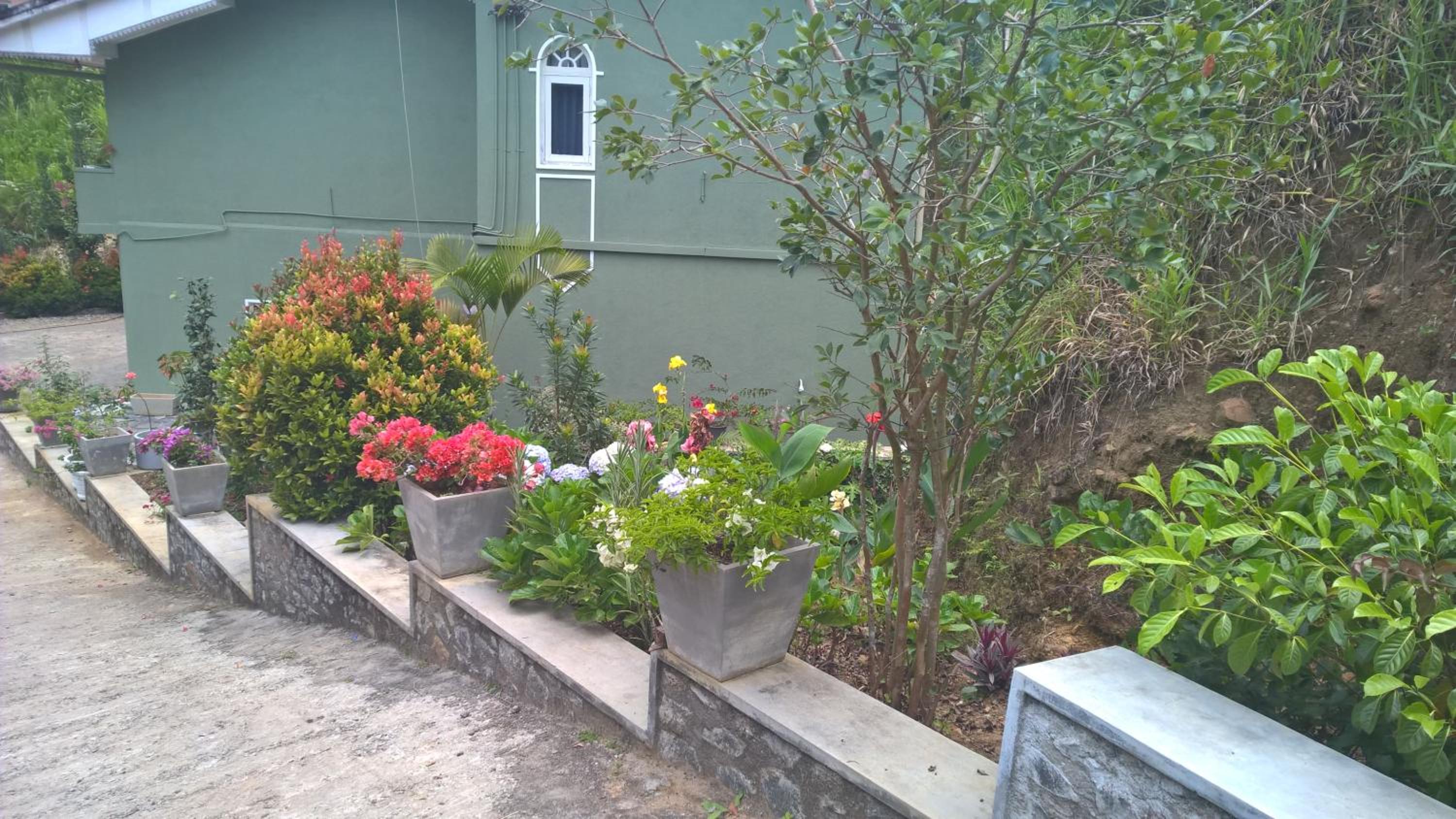 Photo 19