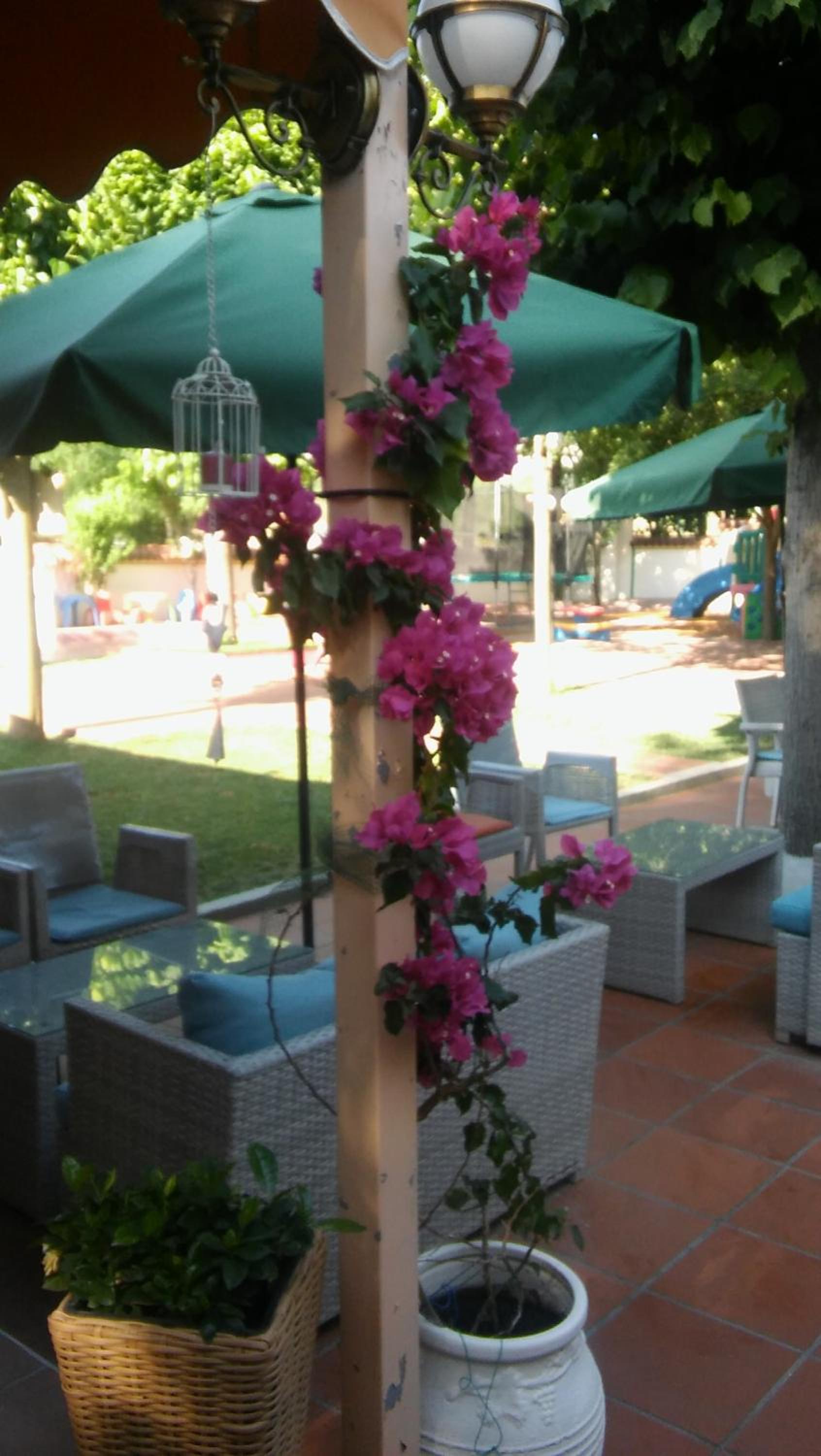 Nefeli Hotel, photo 33