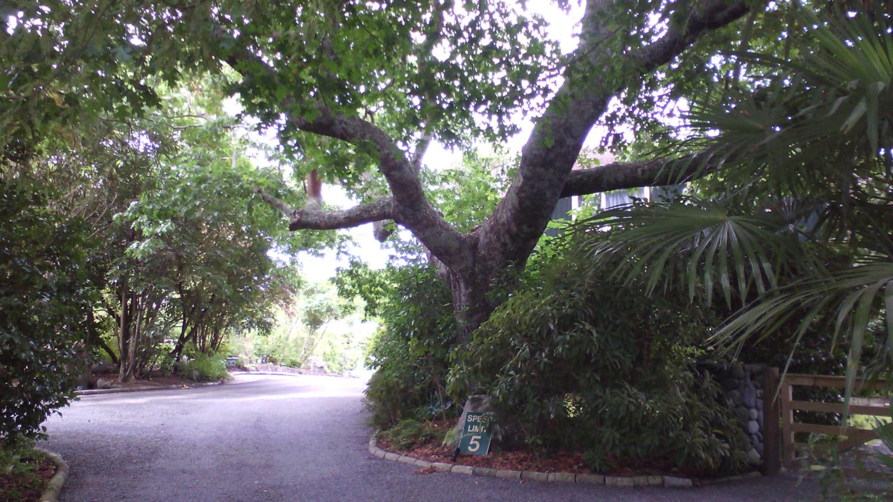 Creel Lodge