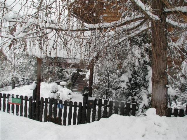 Photo 27
