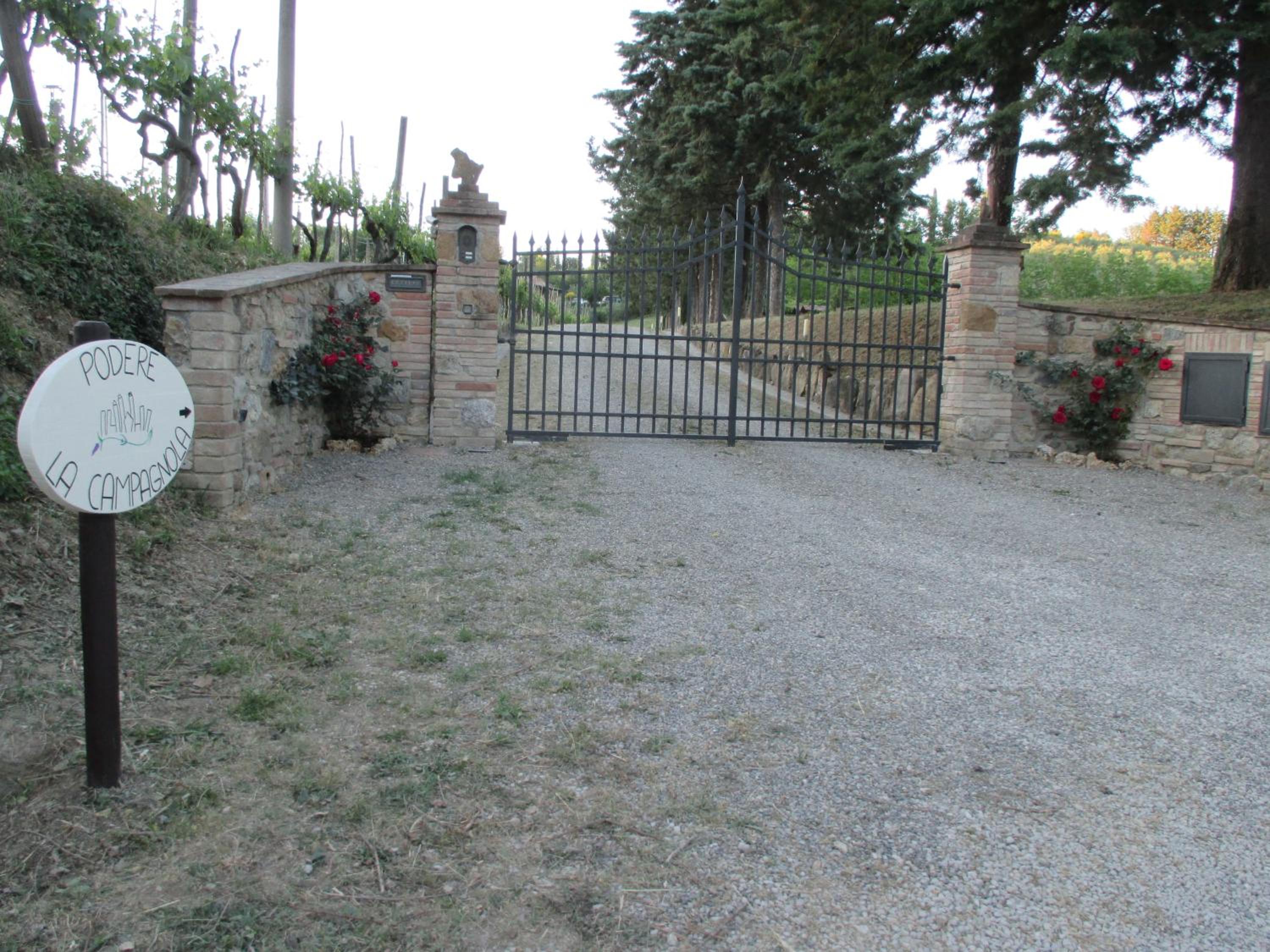 Photo 49