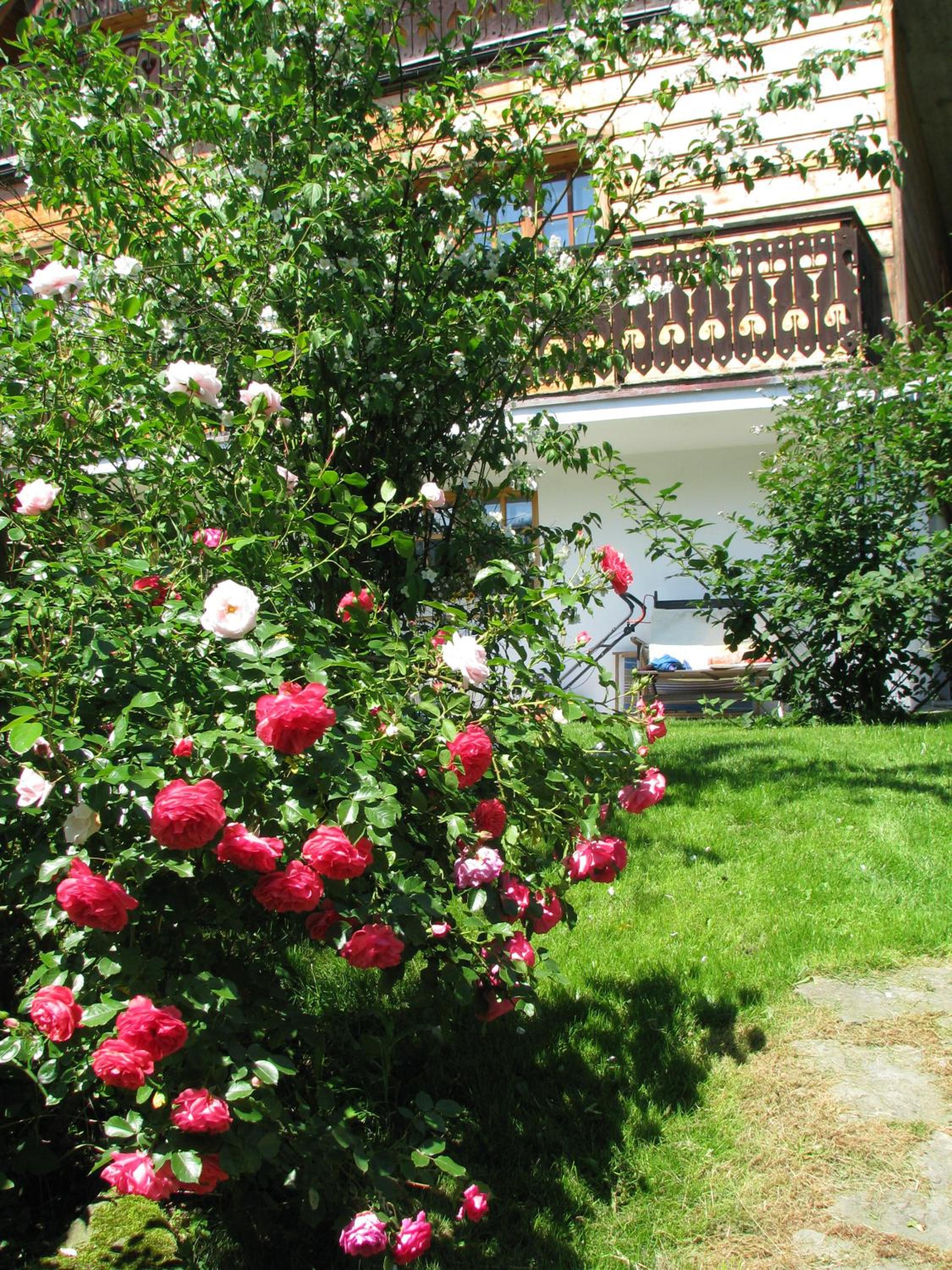 Photo 45