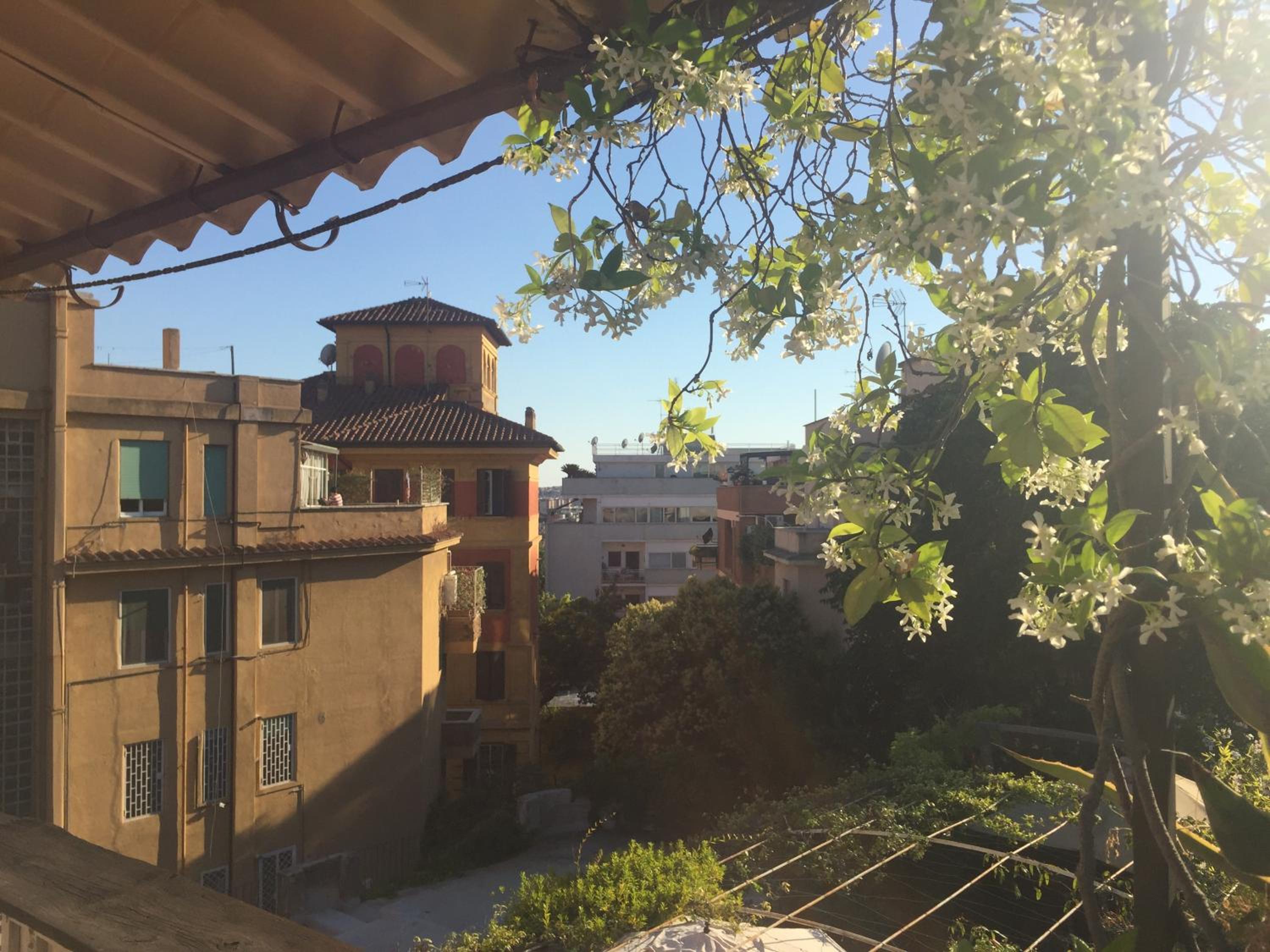 San Saba Rooftop Garden