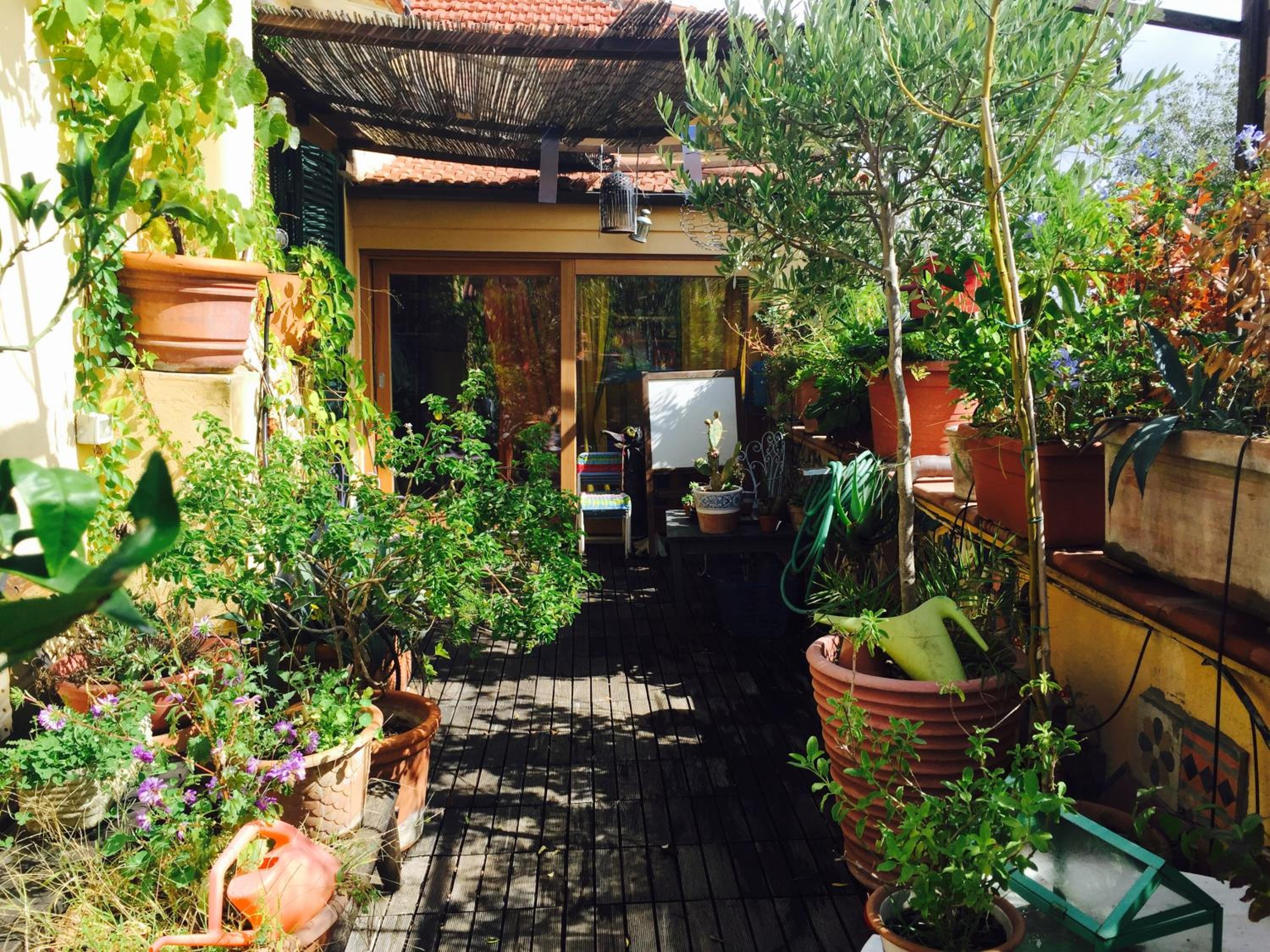 San Saba Rooftop Garden