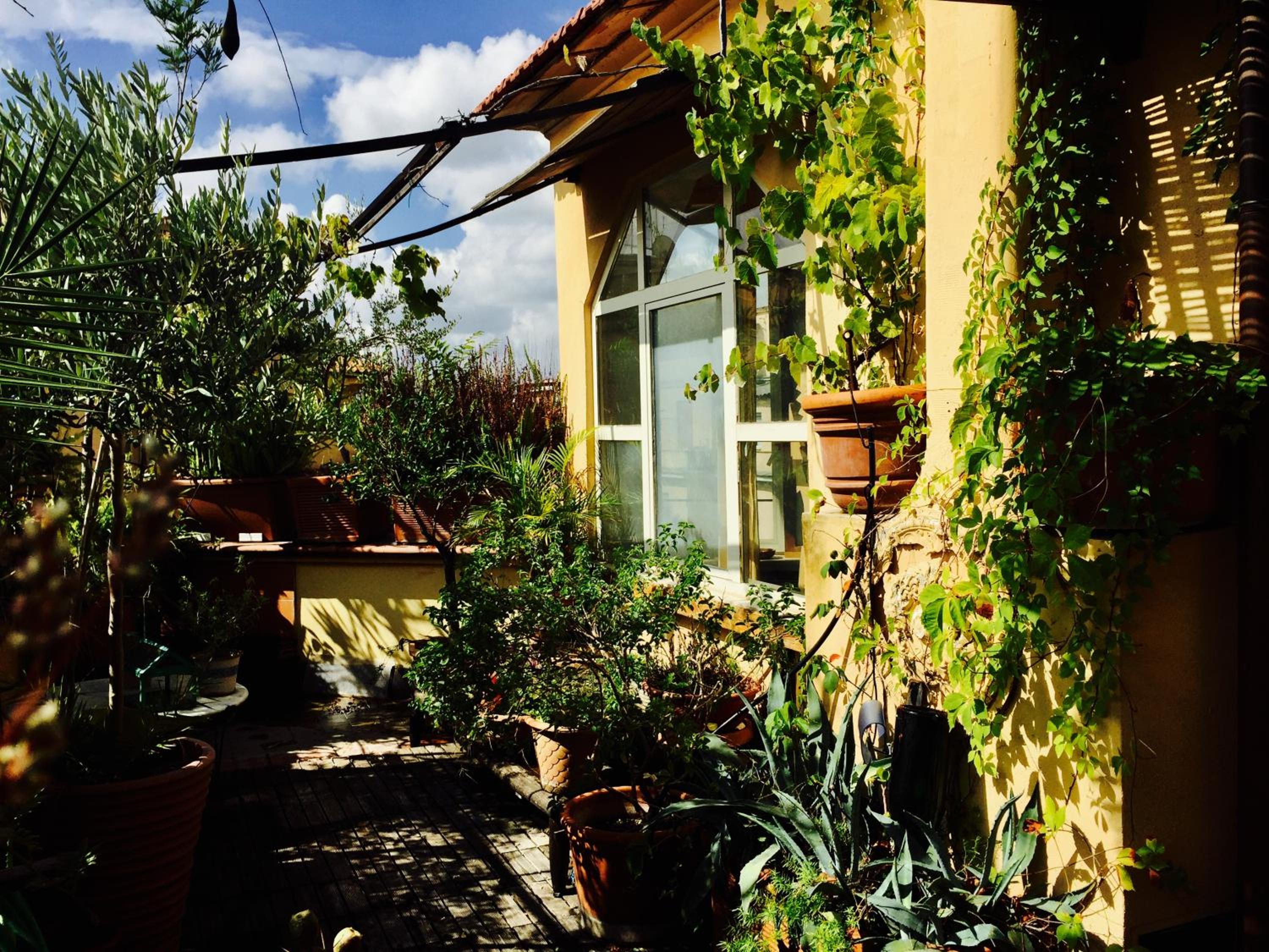 San Saba Rooftop Garden