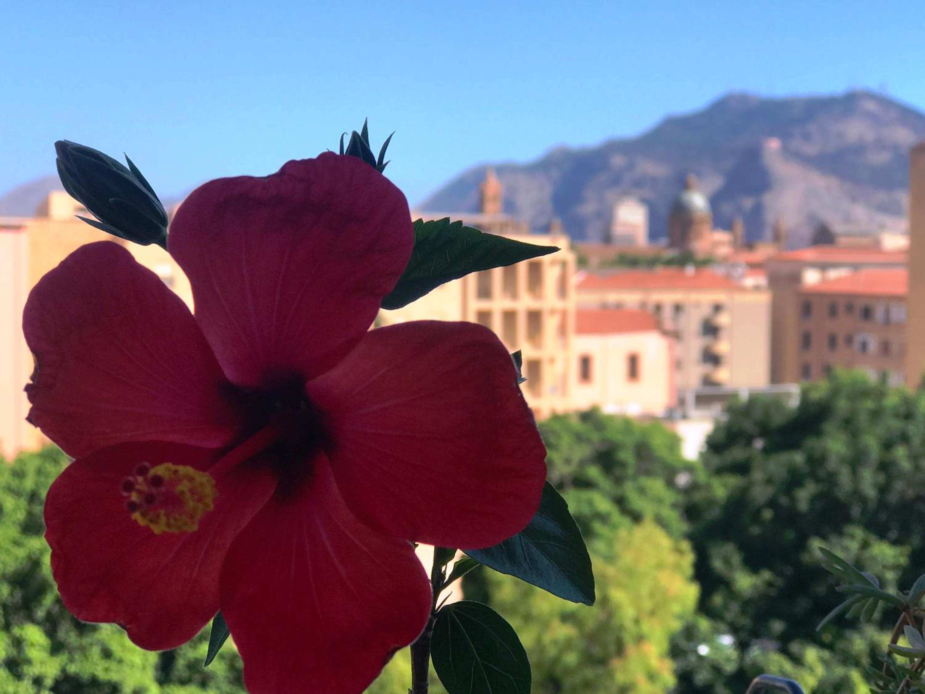 LeAlbe di Sicilia