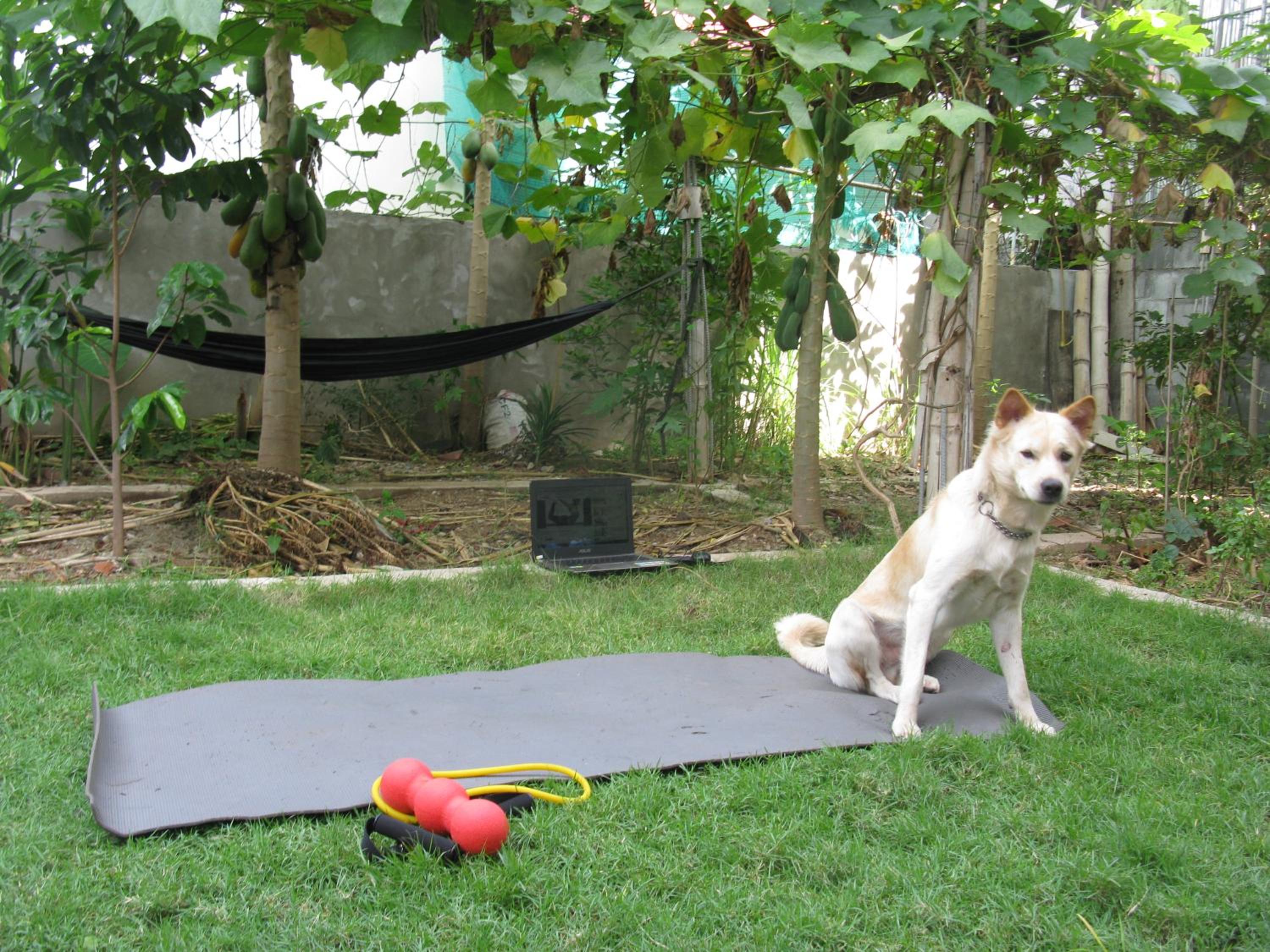 Photo 44