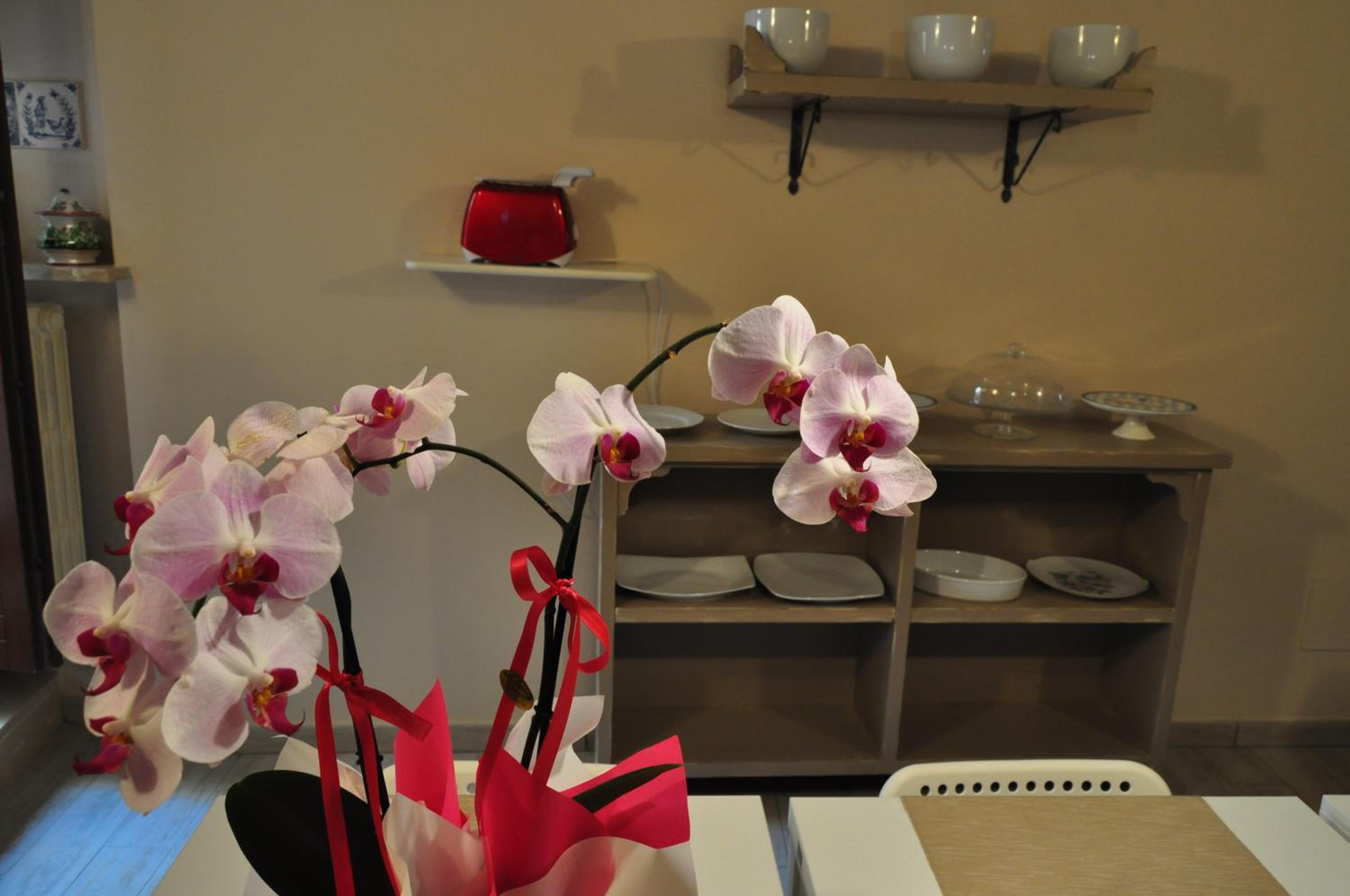 Le Finestre sul Borgo Rooms