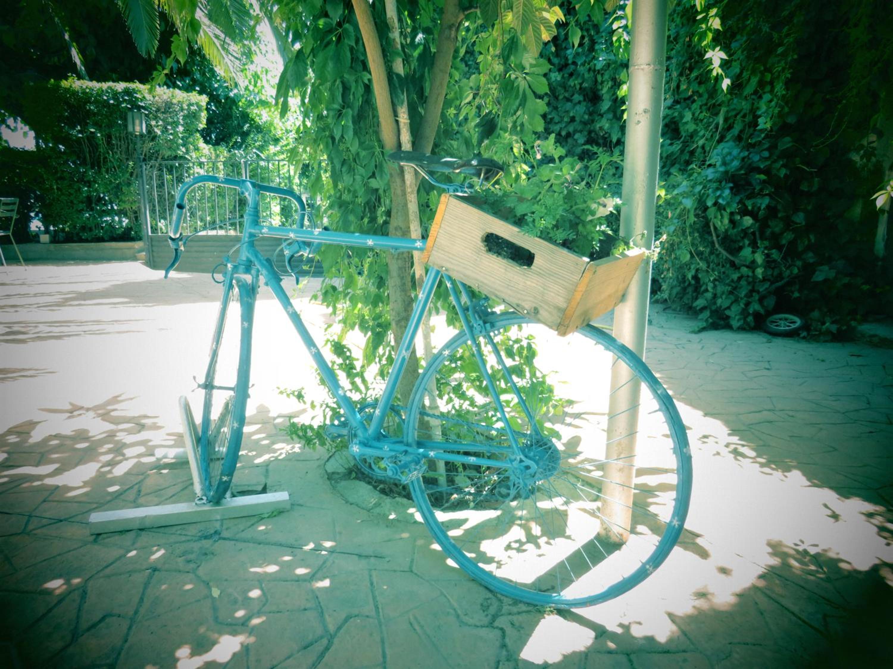 Photo 43