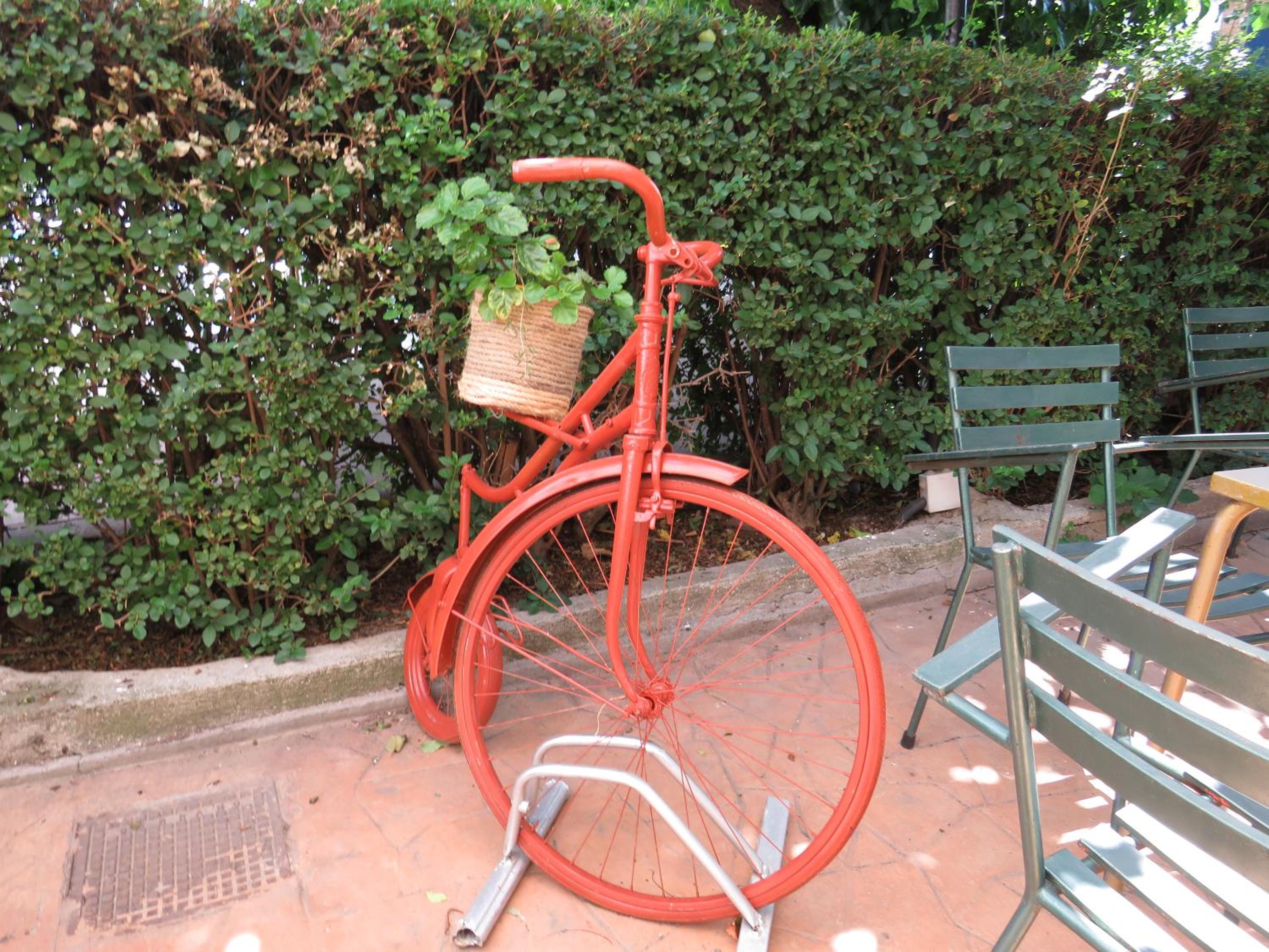 Photo 42