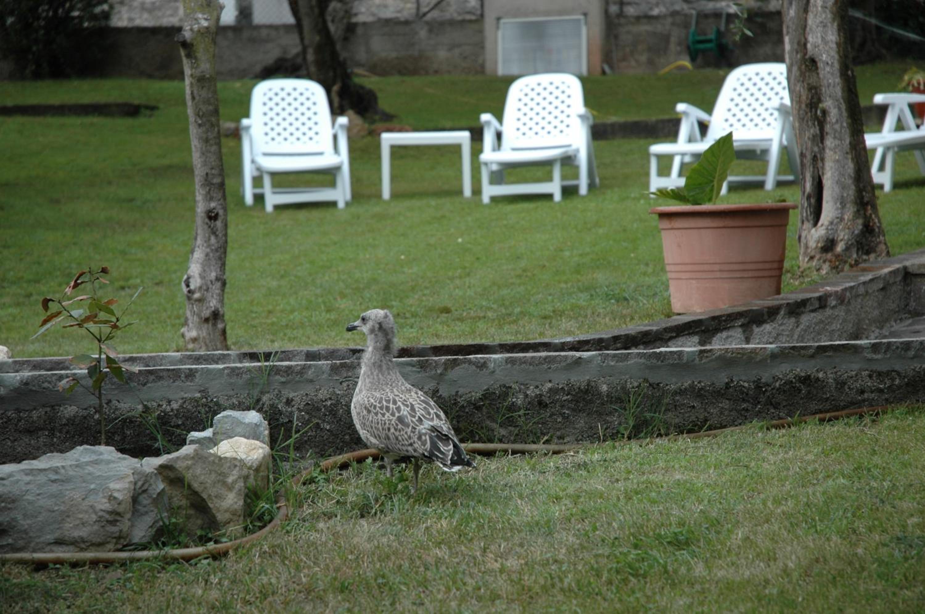 Photo 42