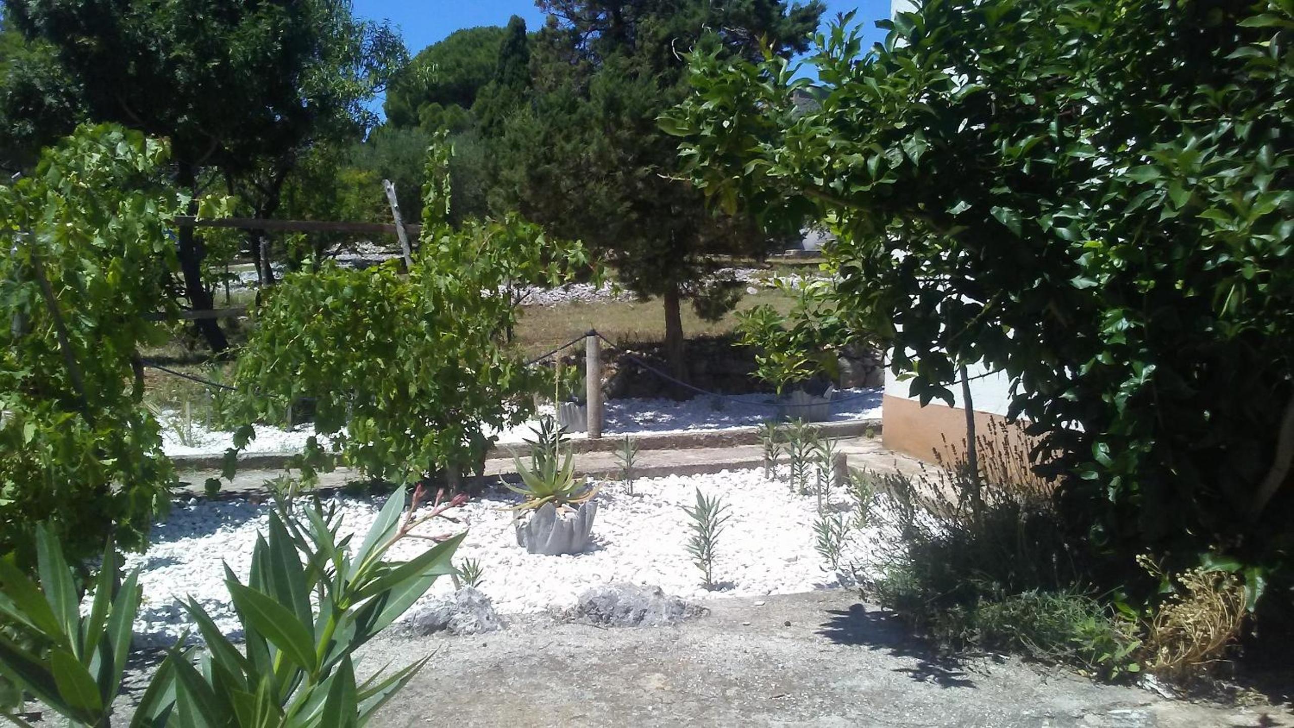 Eco Secluded apartments Zabodarski view 4