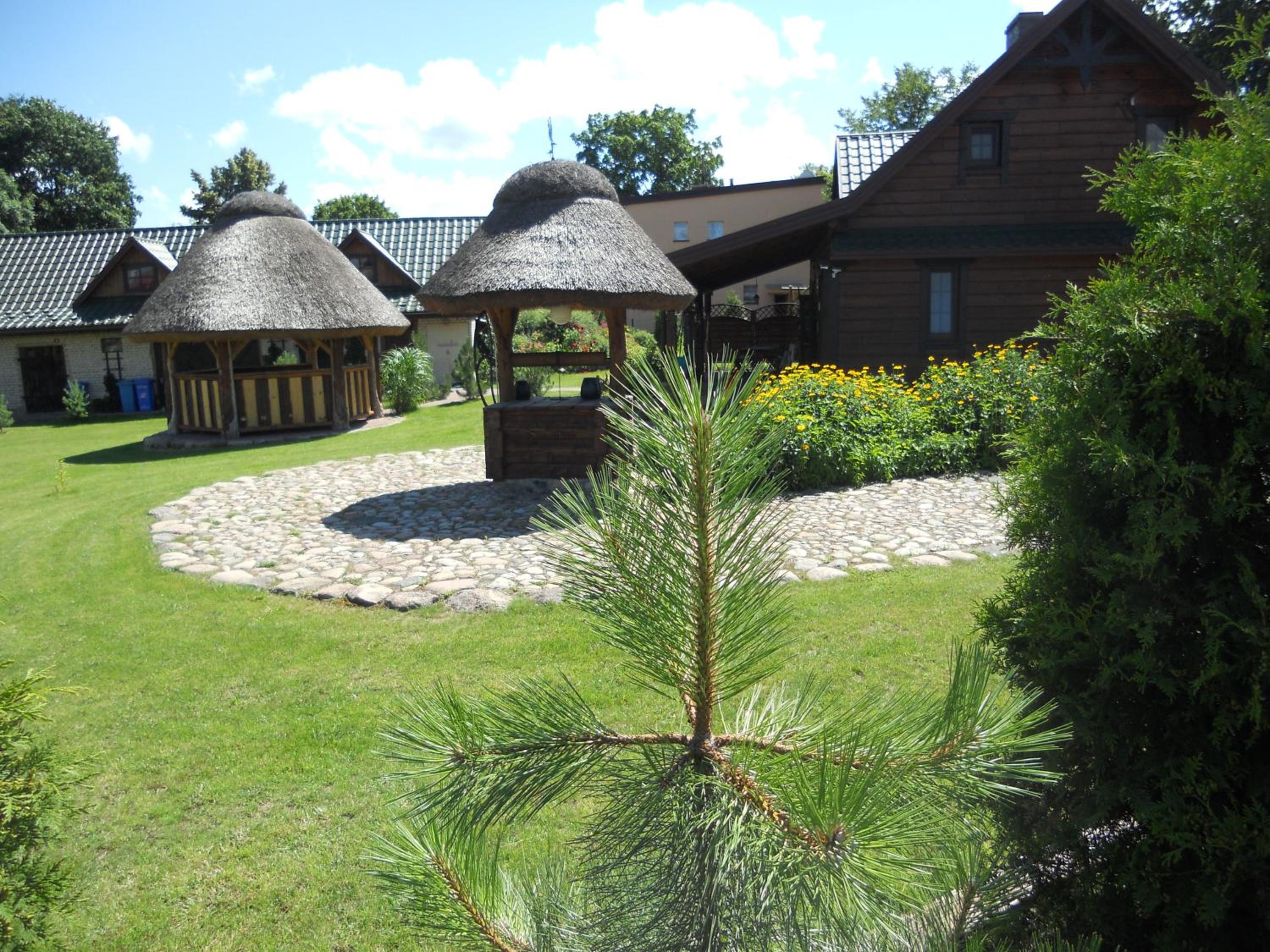 Photo 11