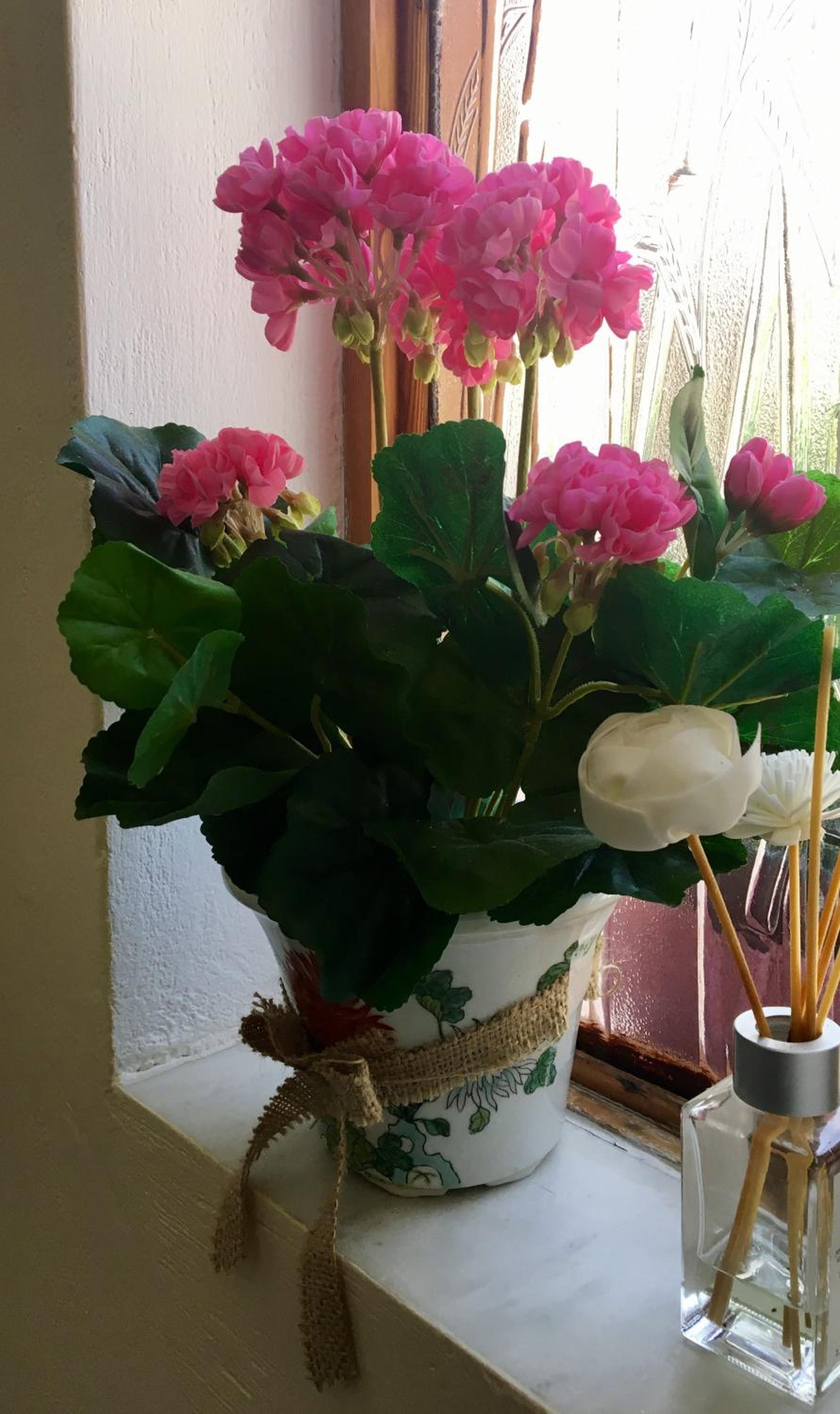 Photo 38