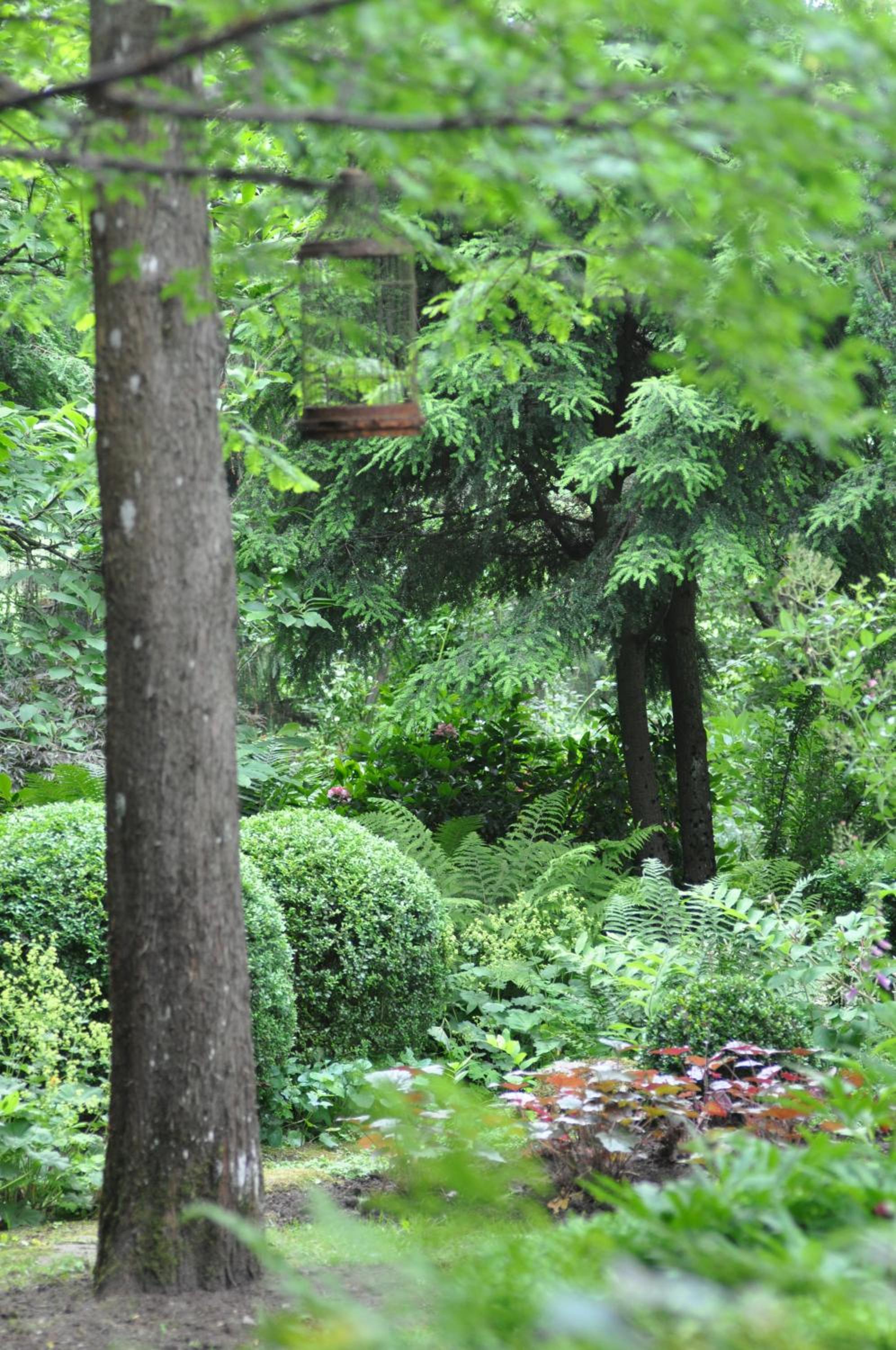 Photo 8
