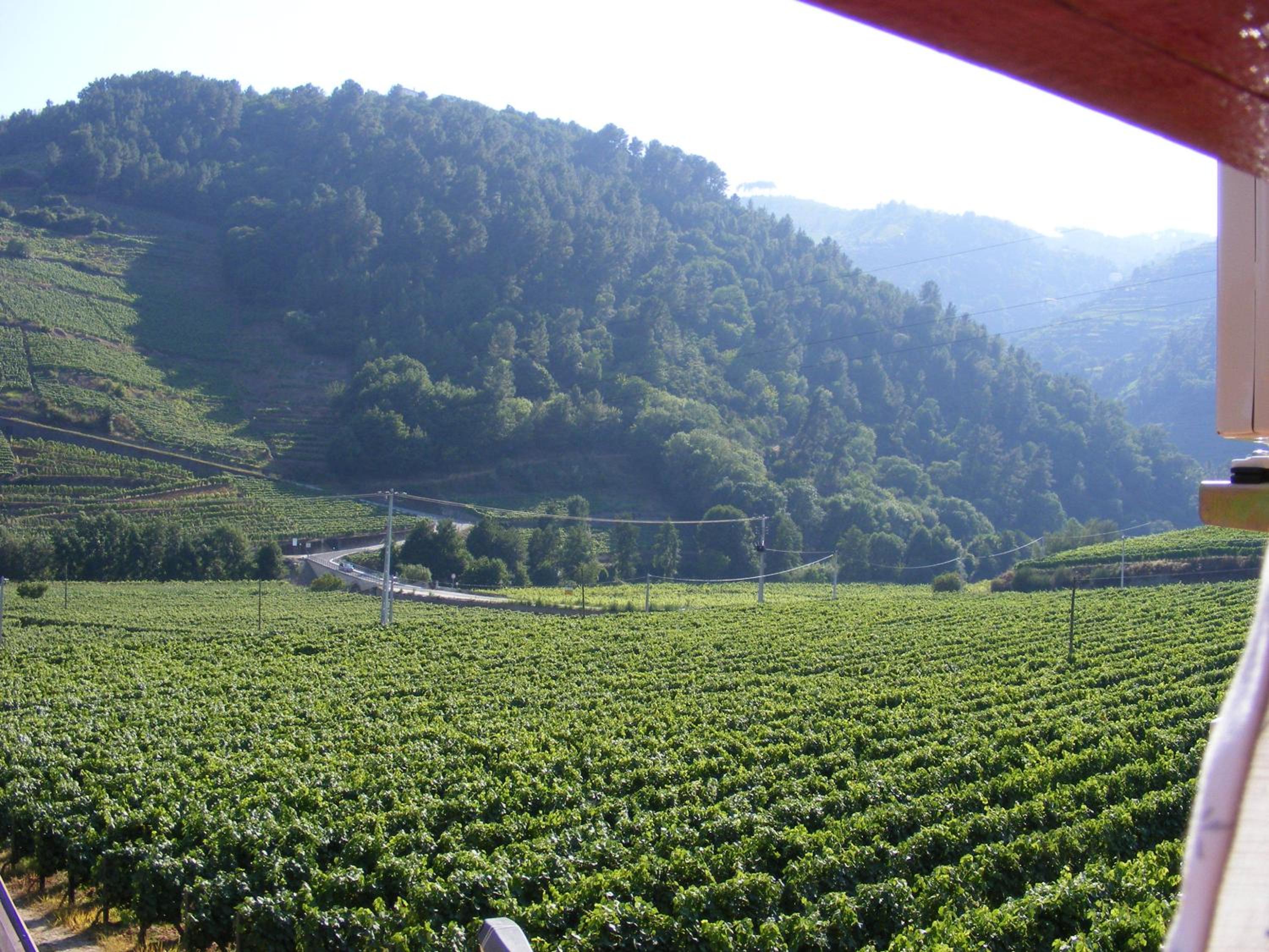 Solar Quinta da Portela - Douro