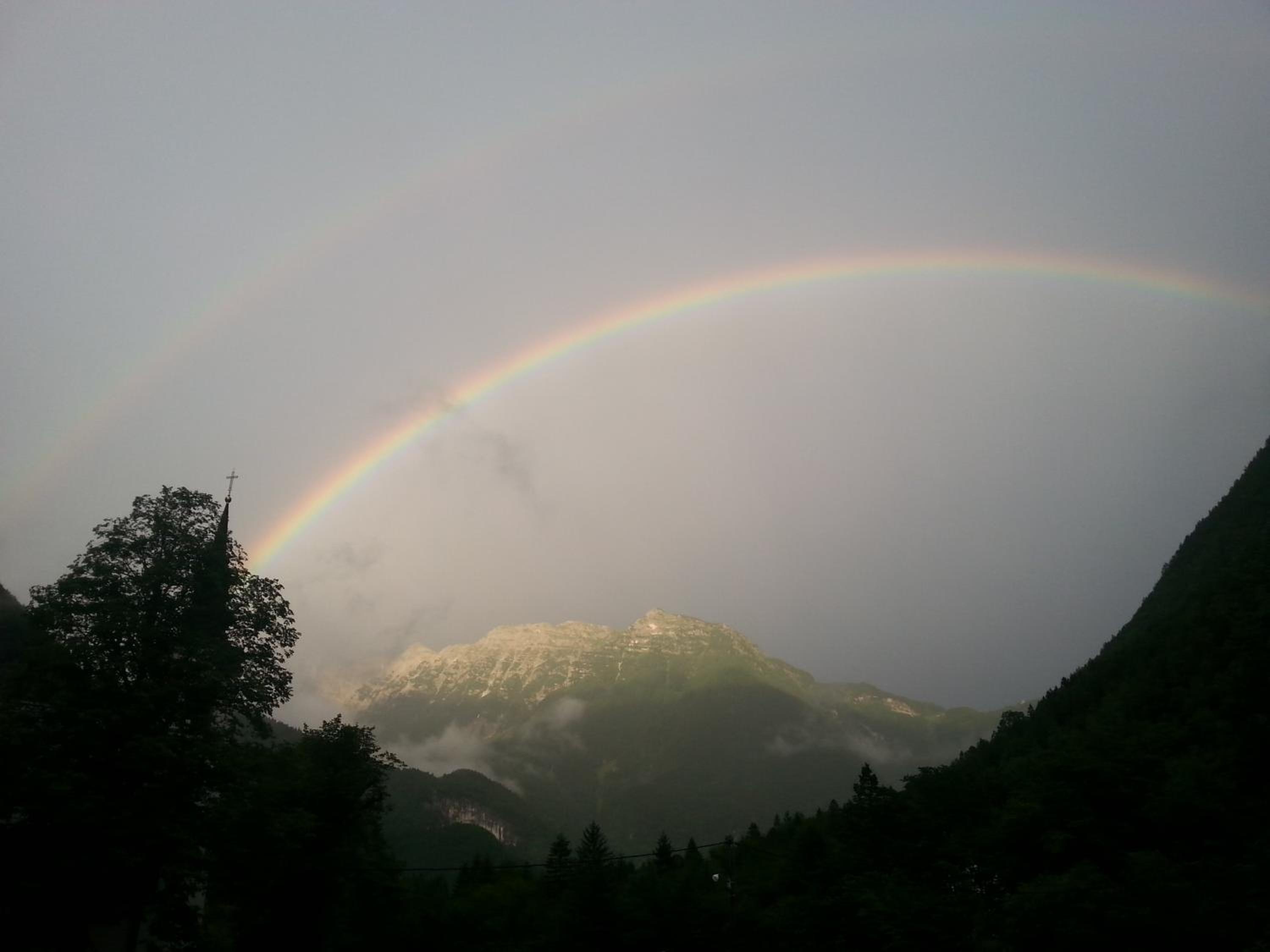 Photo 41