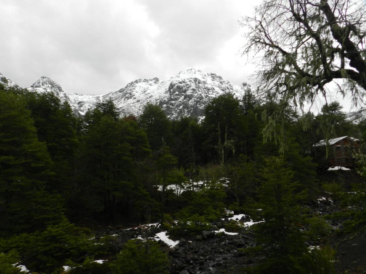 Photo 27