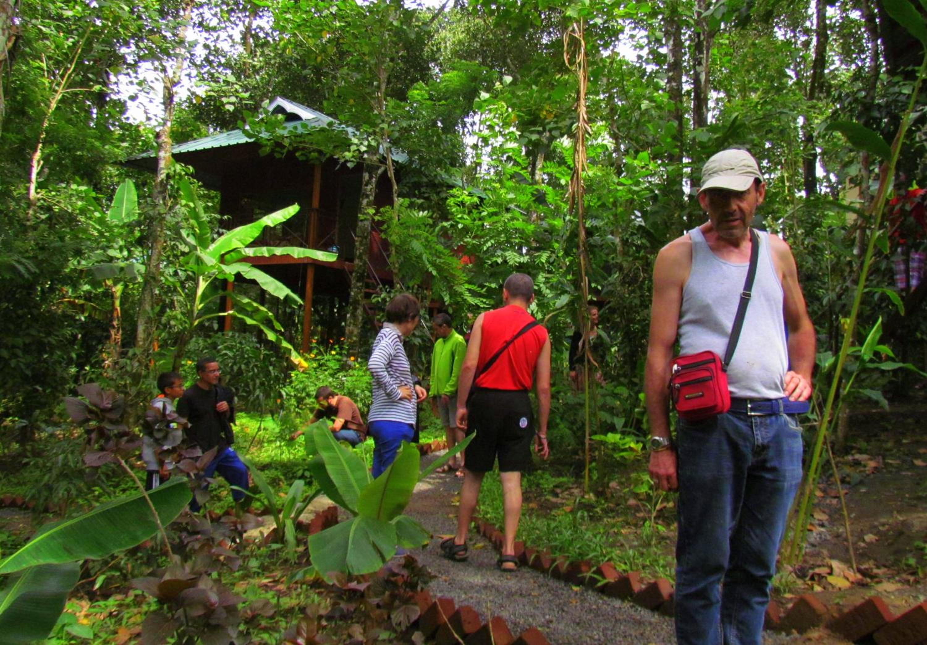 Monsoon Retreats Ecostay- Treehouse