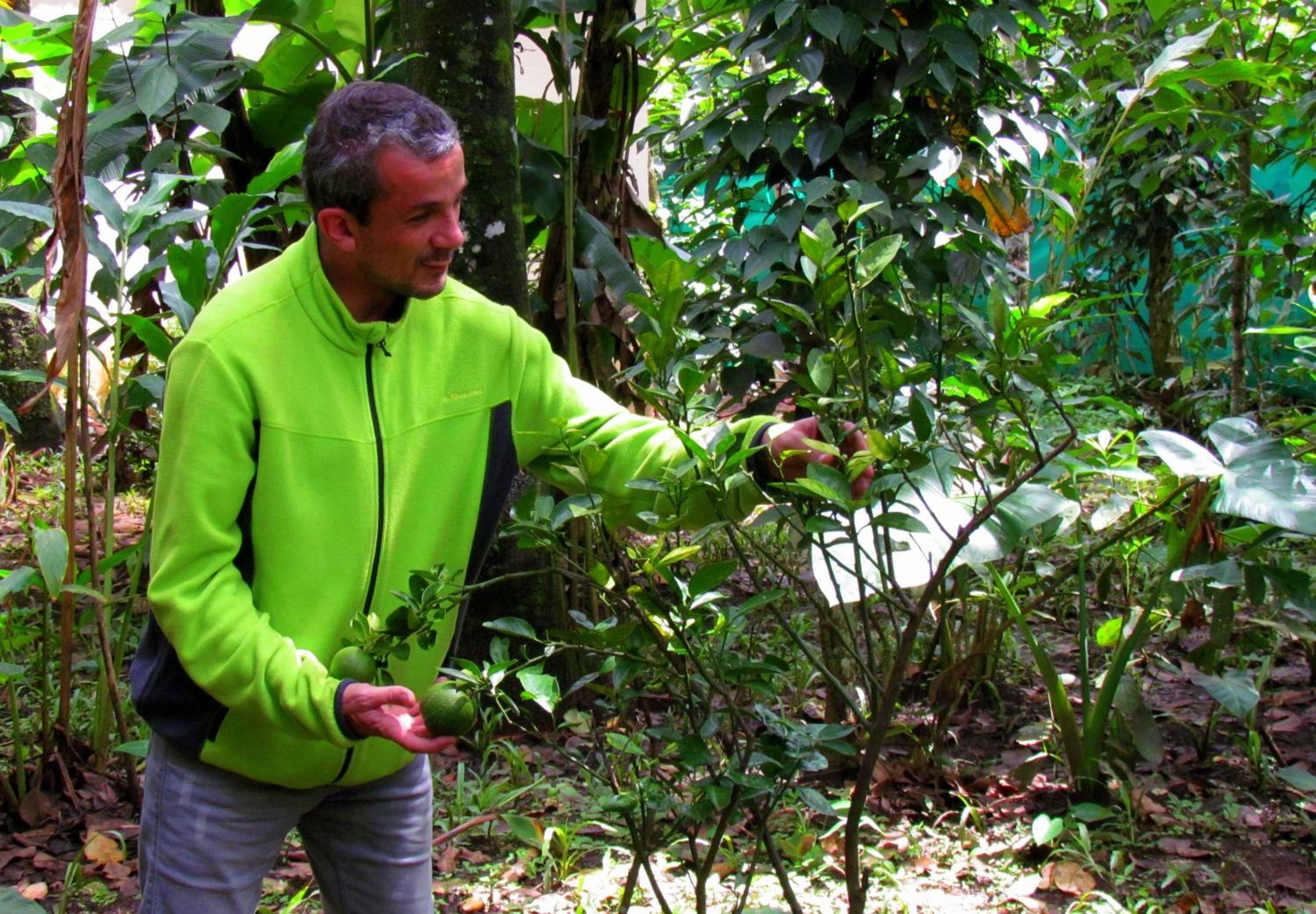 Monsoon Retreats Ecostay- Treehouse